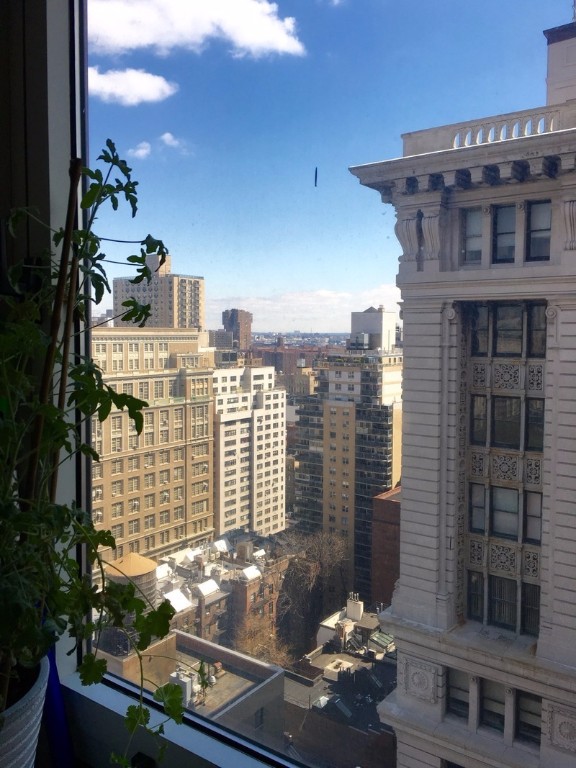 1 Irving Place G21A — Level Group