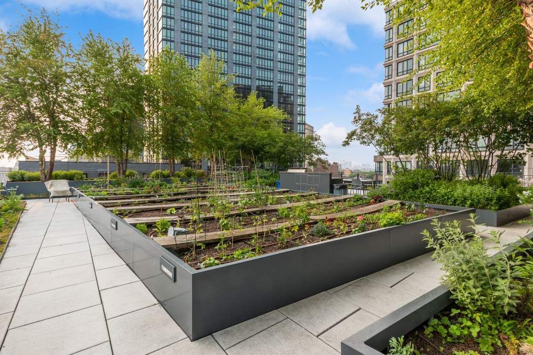 550 Vanderbilt Avenue 523 Pacific Park Brooklyn NY 11238