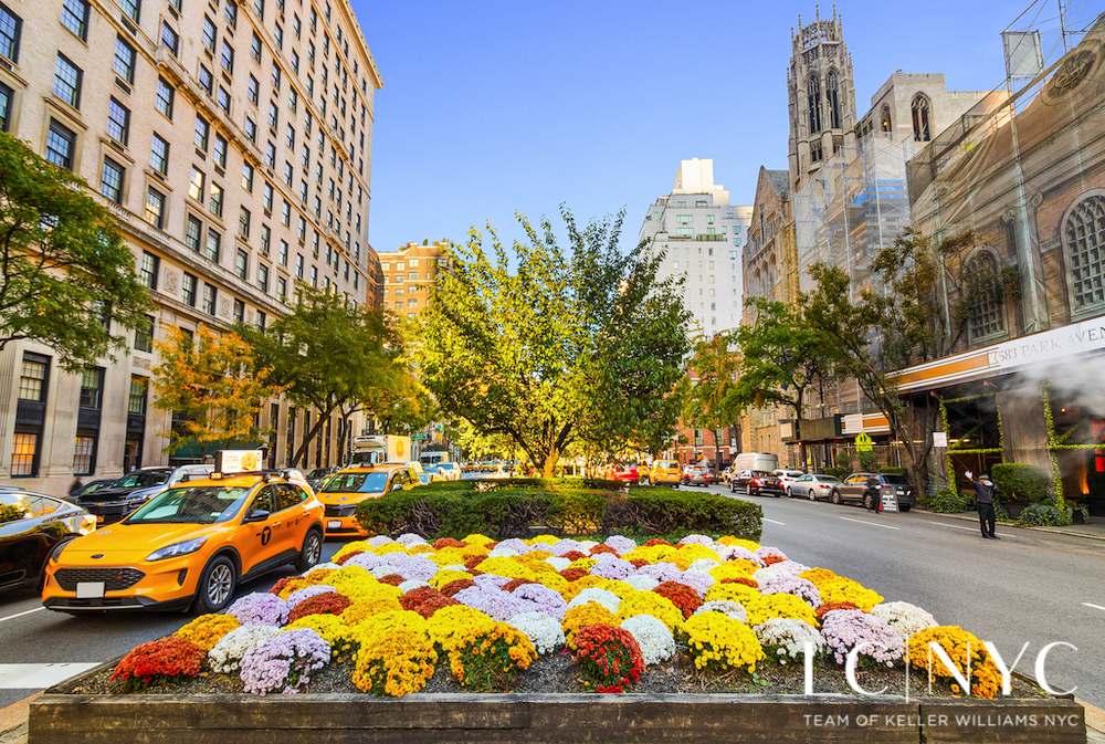 575 Park Avenue 1105 Upper East Side New York NY 10065