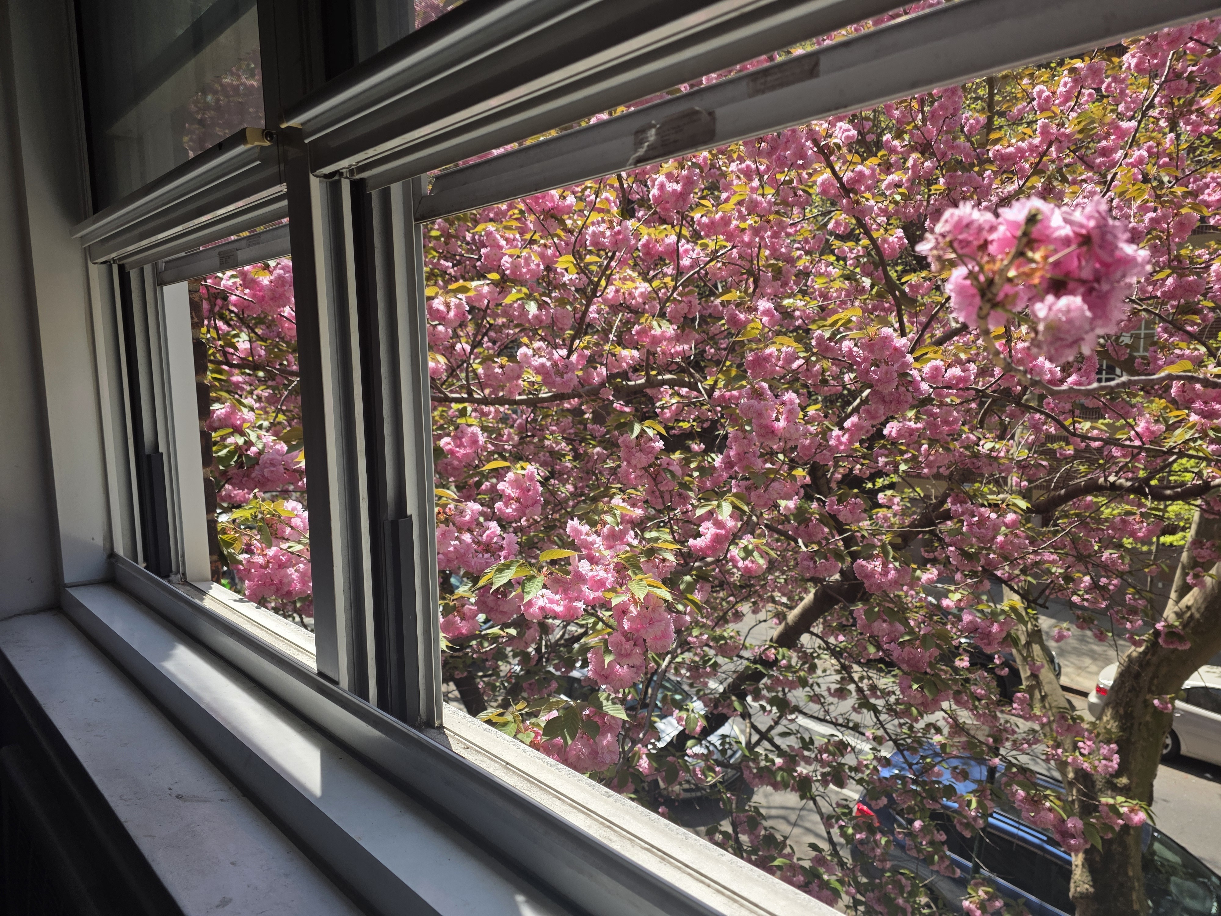 34-15 74th Street Jackson Heights Queens NY 11372