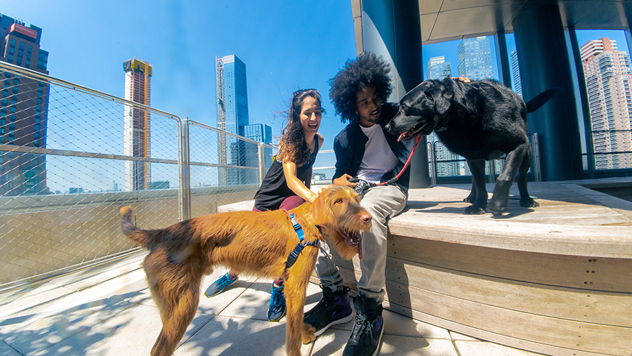 2 BEDROOM enlargeable-image