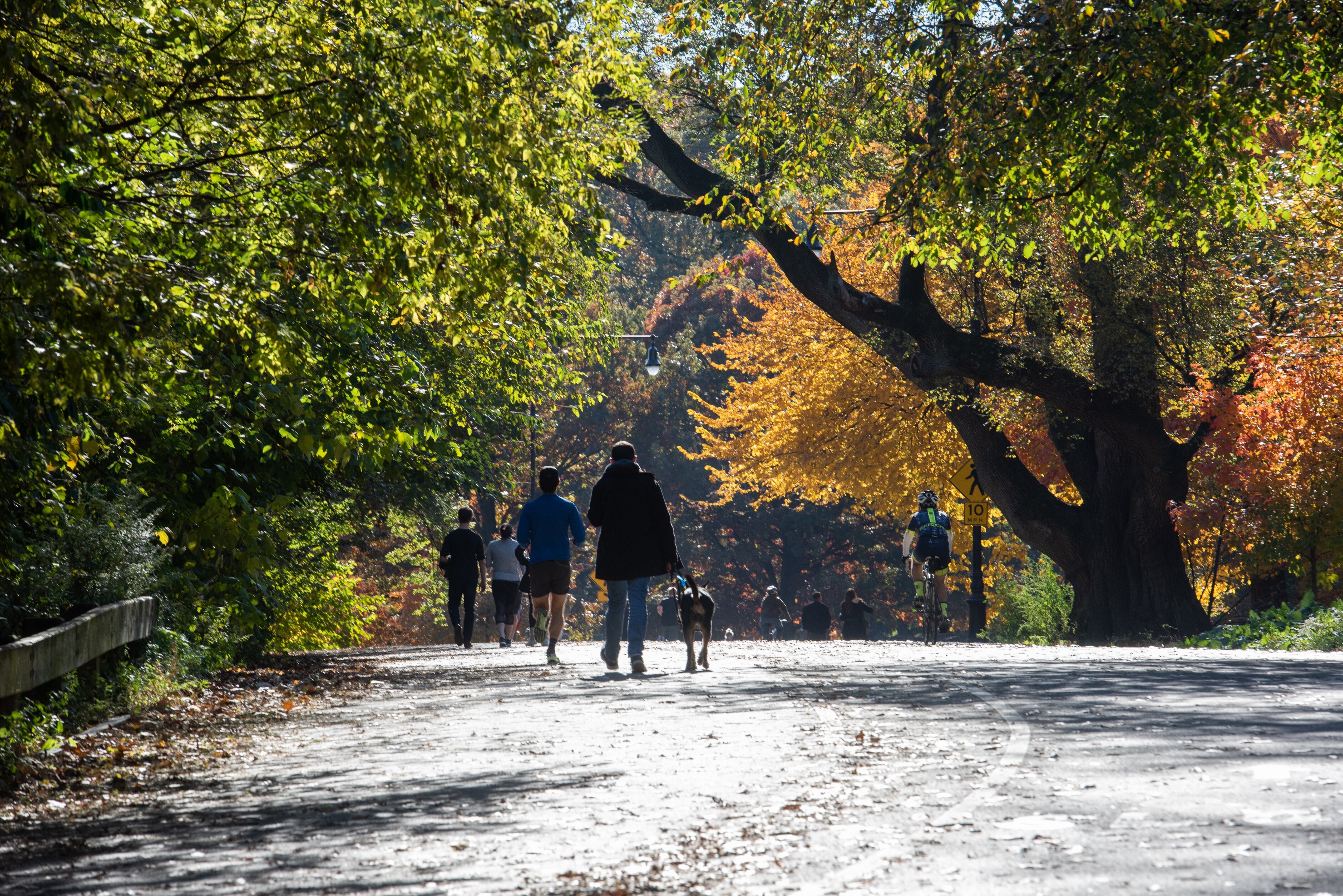 676 Union Street Park Slope Brooklyn NY 11215