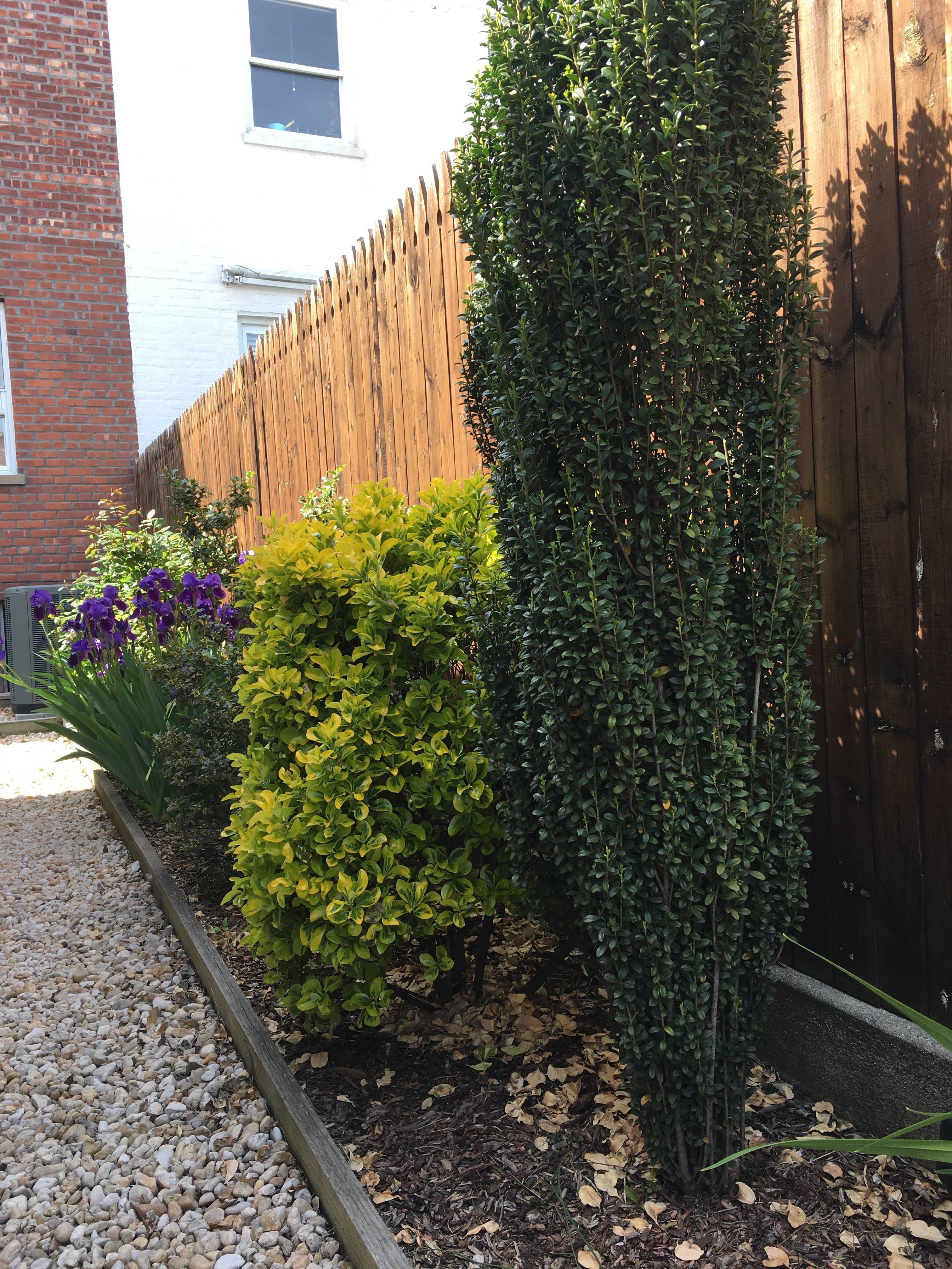 321 Bay 13th Street Bath Beach Brooklyn NY 11214