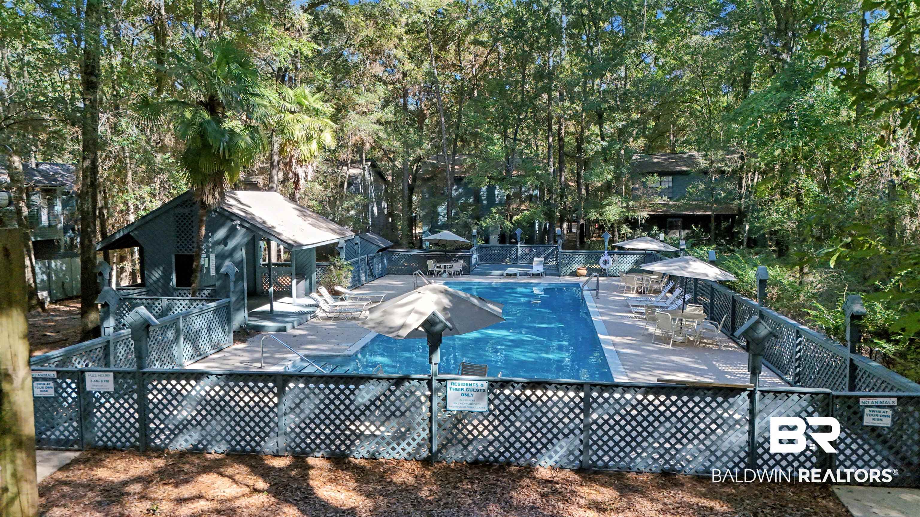 387770 | Photo 23