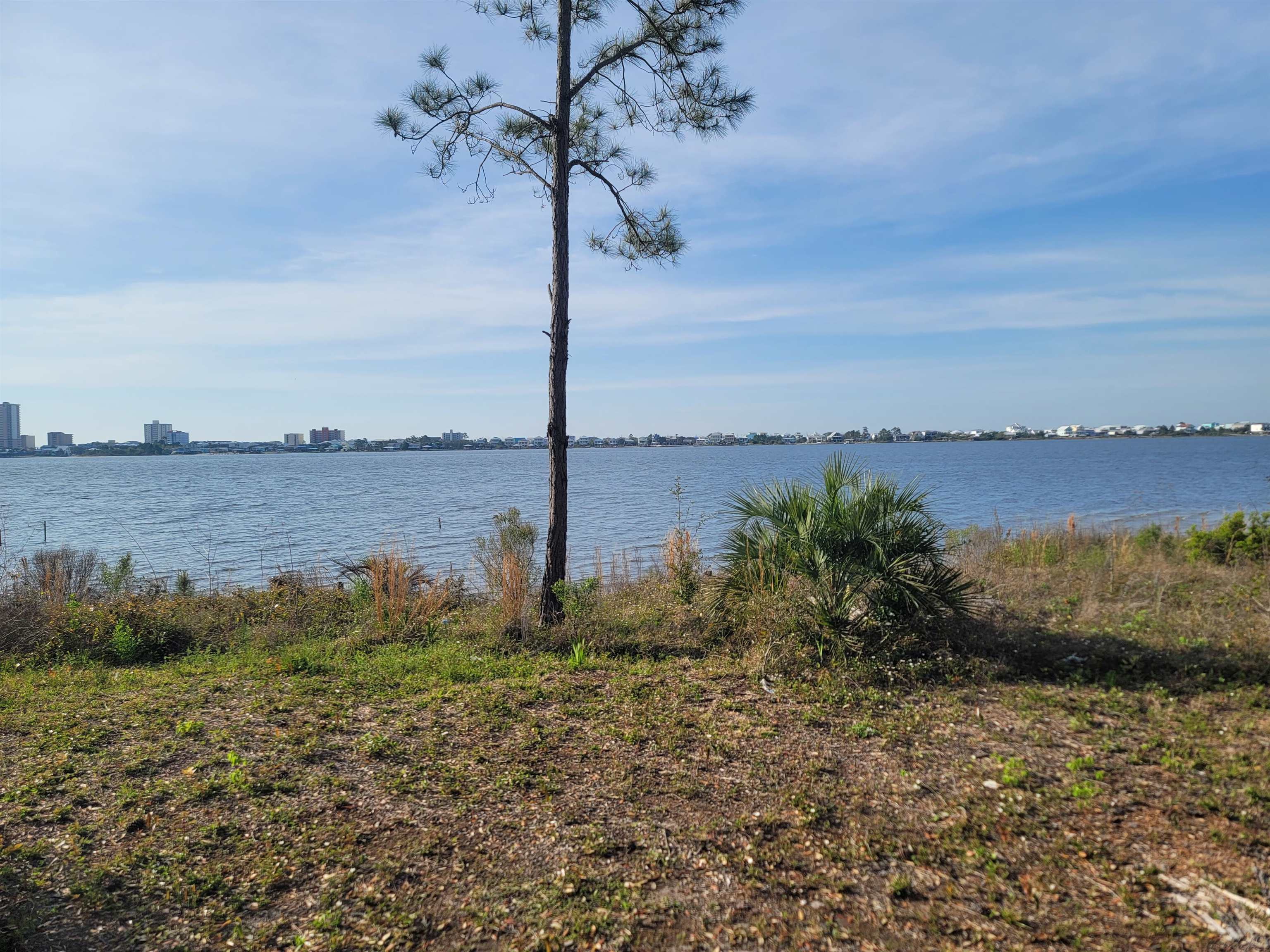 376480 | Photo 2