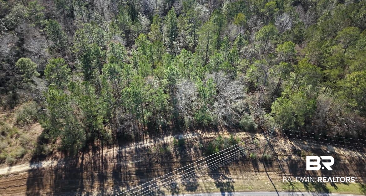 Homes for Sale in Tanager of Spanish Fort, AL.