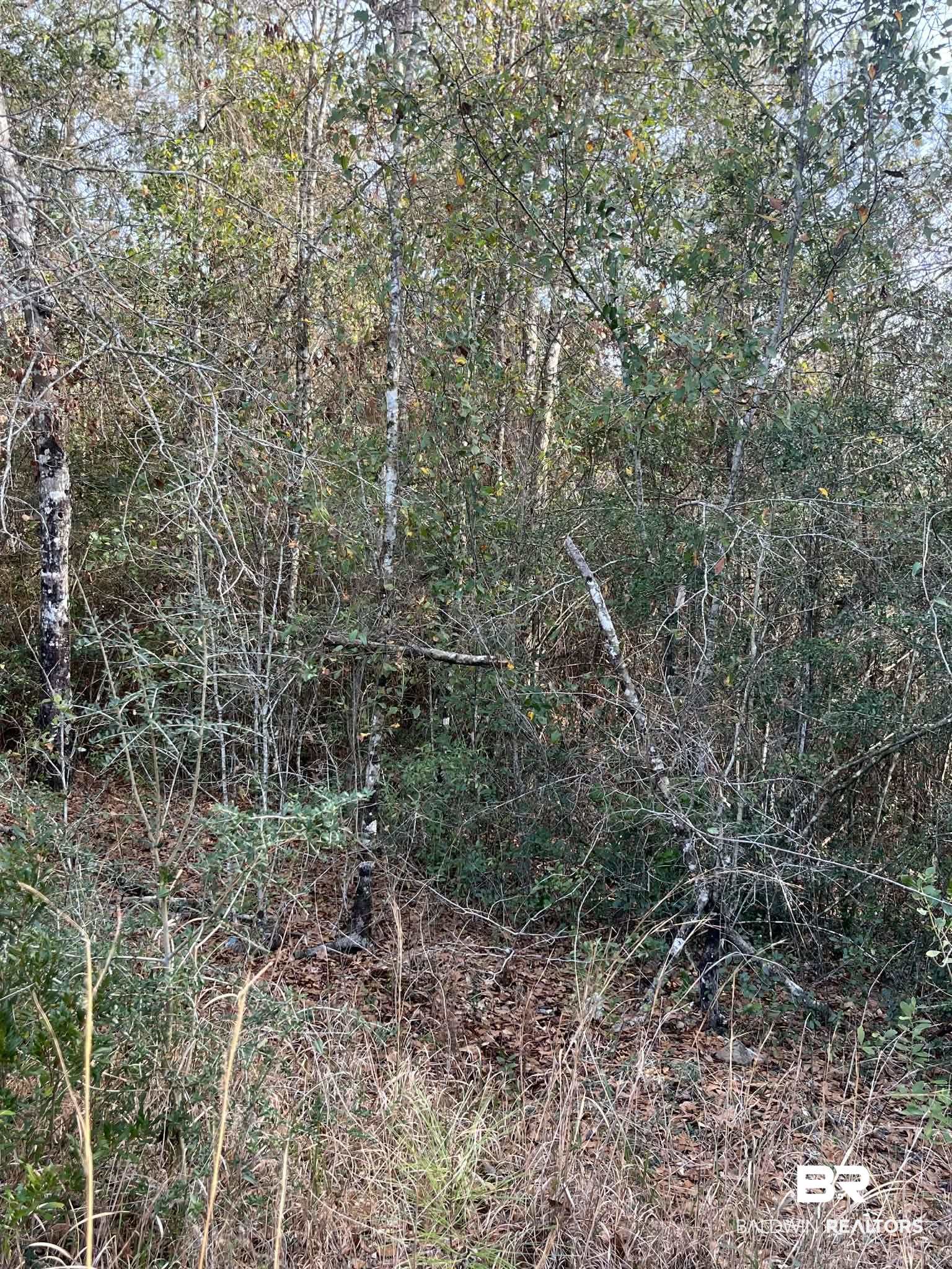 390083 | Photo 5