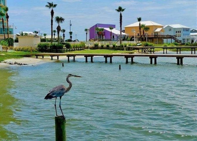 378239 | Photo 28