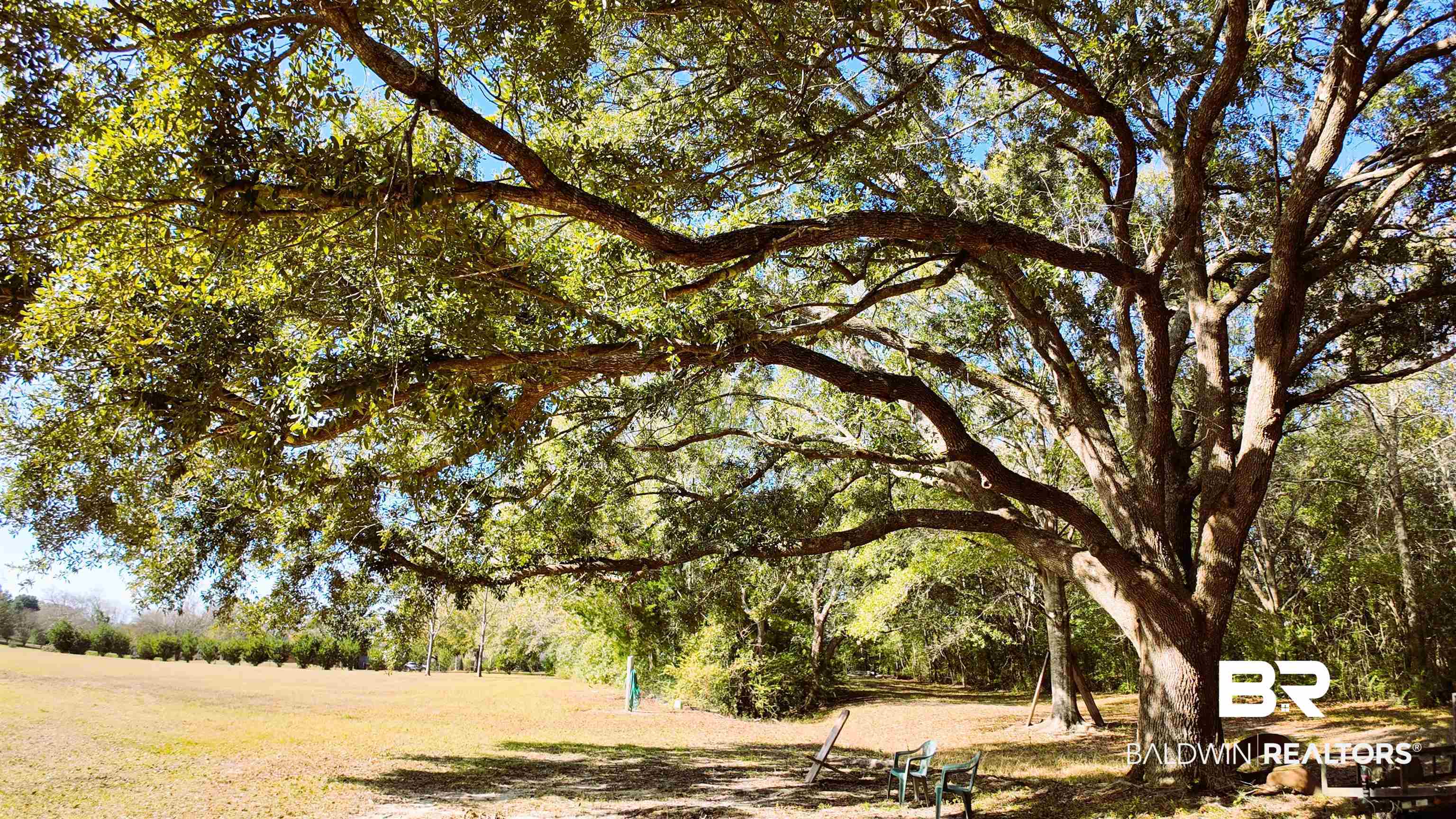 388680 | Photo 15