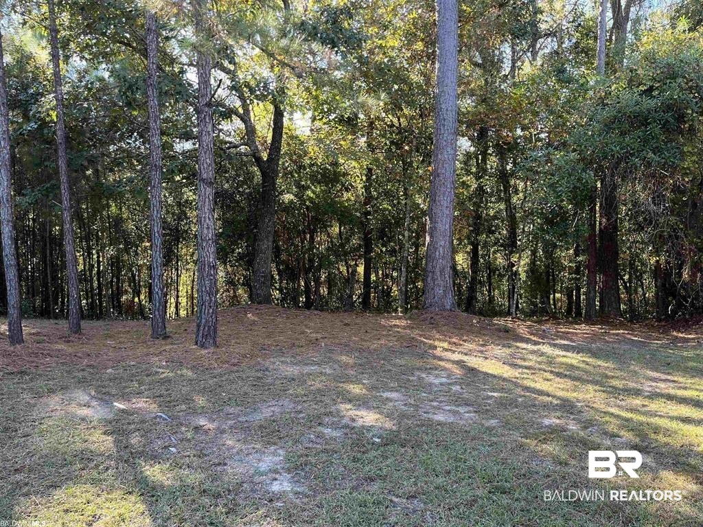 Land For Sale in Spanish Fort AL