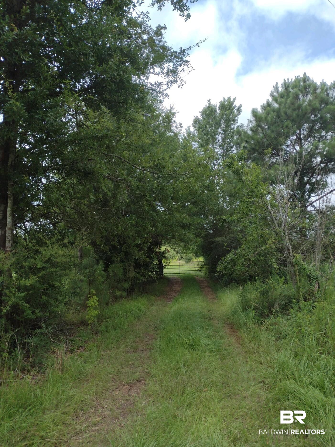 388281 | Photo 2