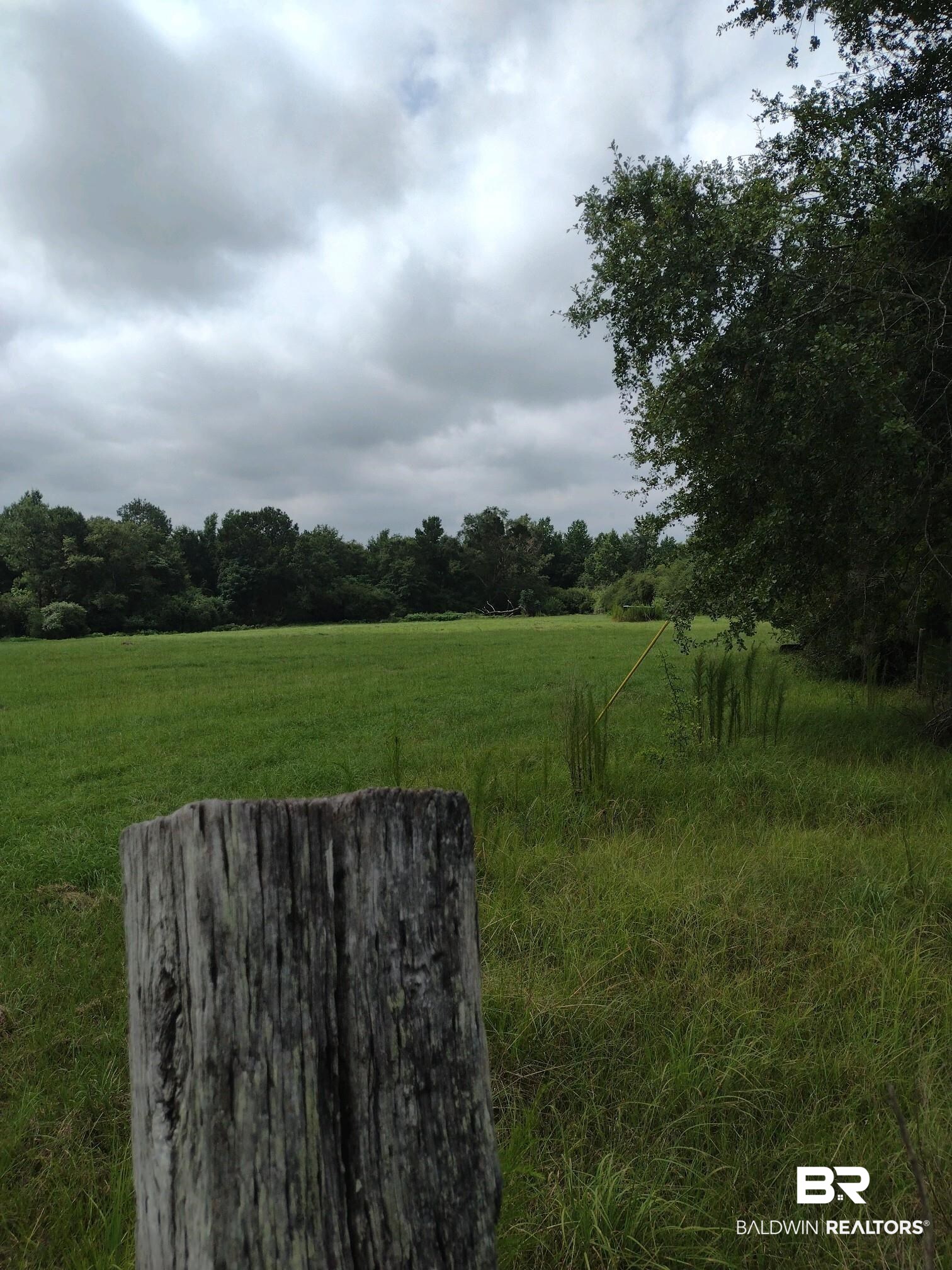 388281 | Photo 3