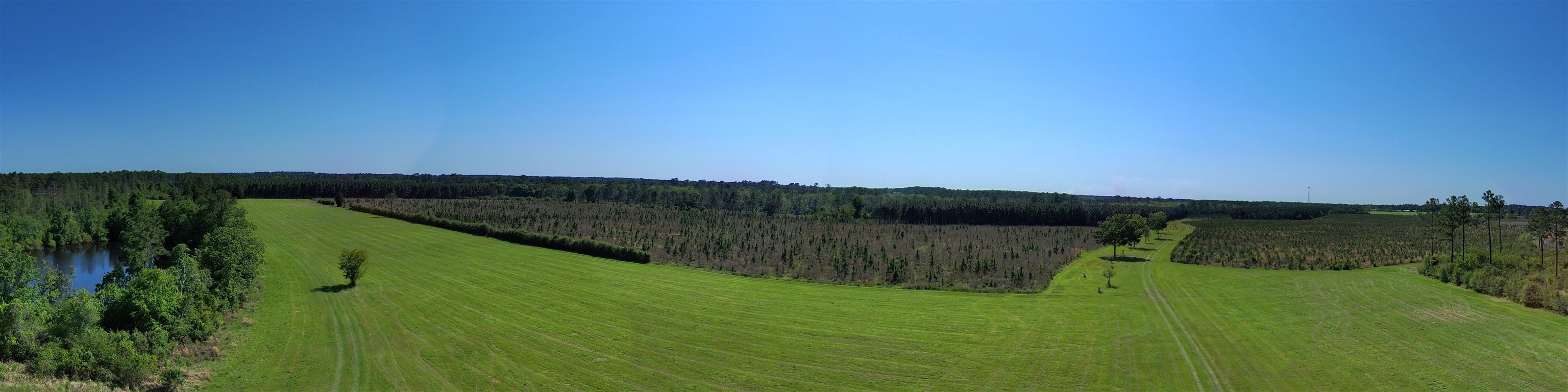 379333 | Photo 10