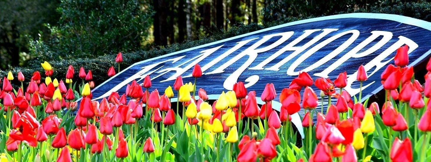 386813 | Photo 16