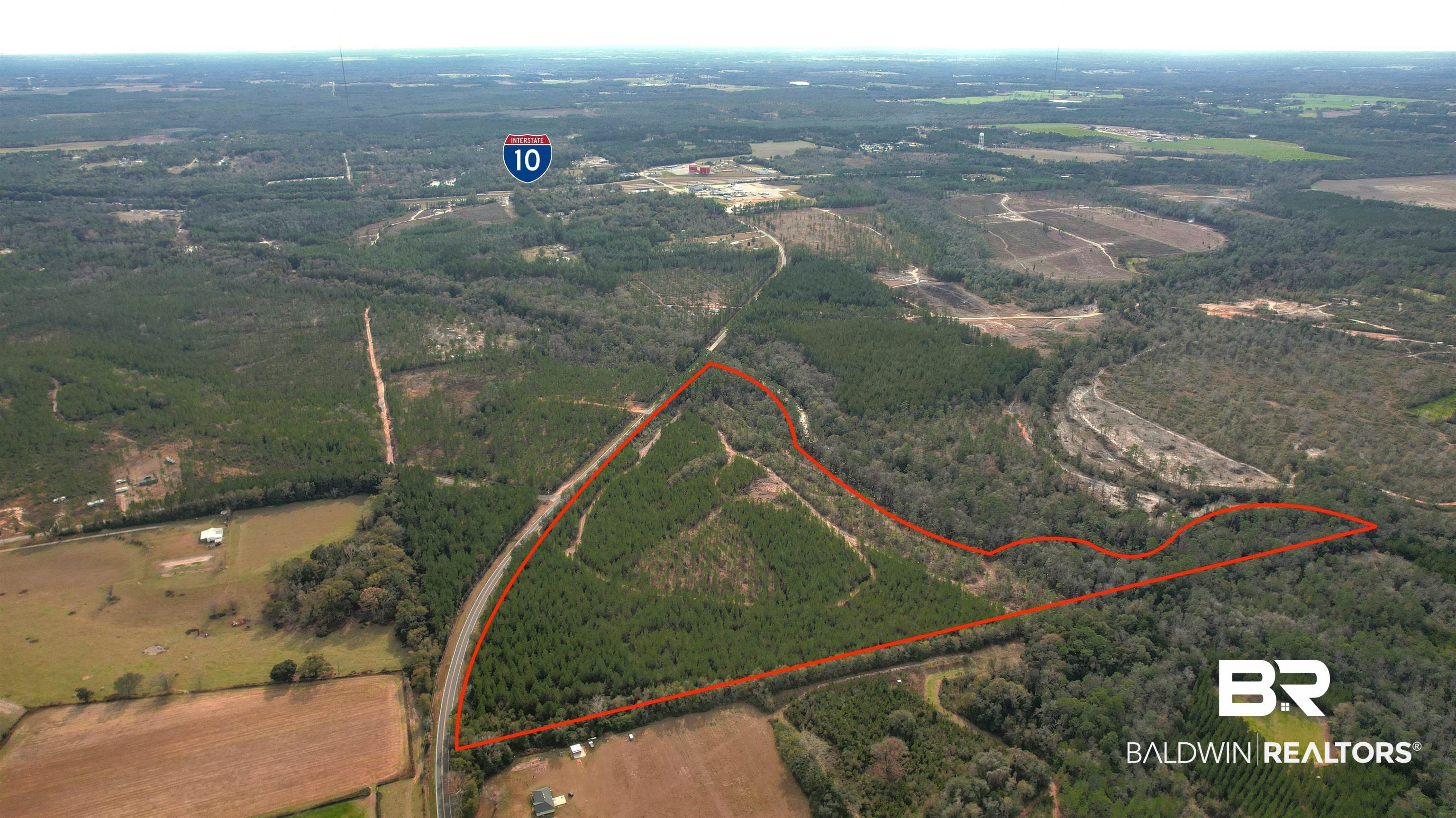 321959 | Photo 5