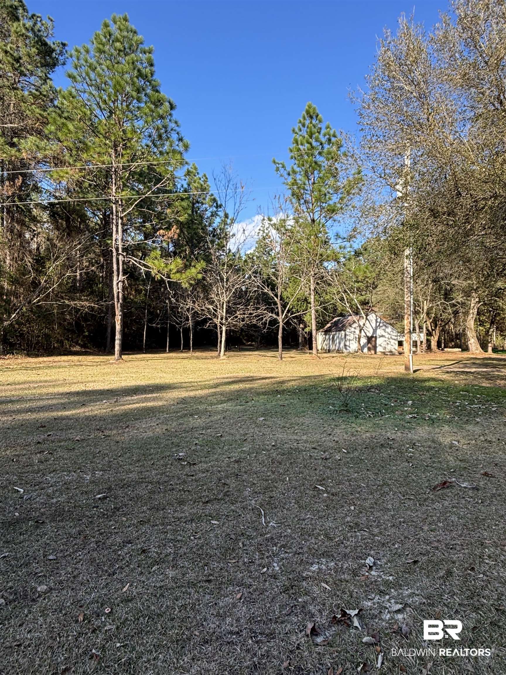 389826 | Photo 10