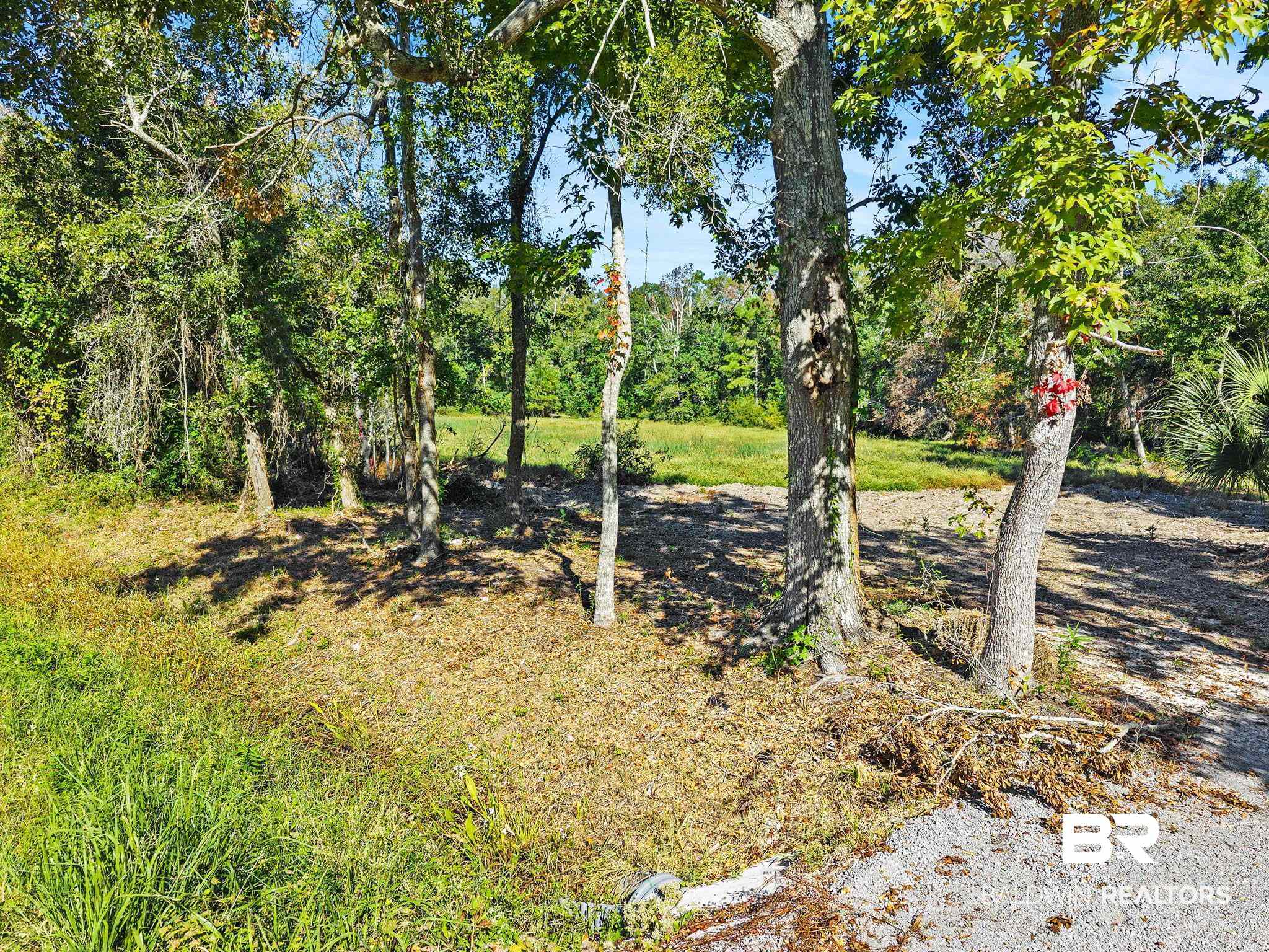 387583 | Photo 21