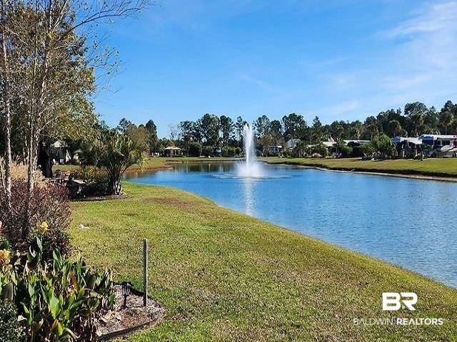 354782 | Photo 25