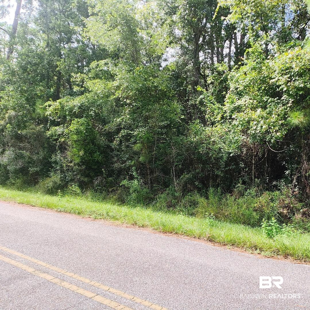 384256 | Photo 2