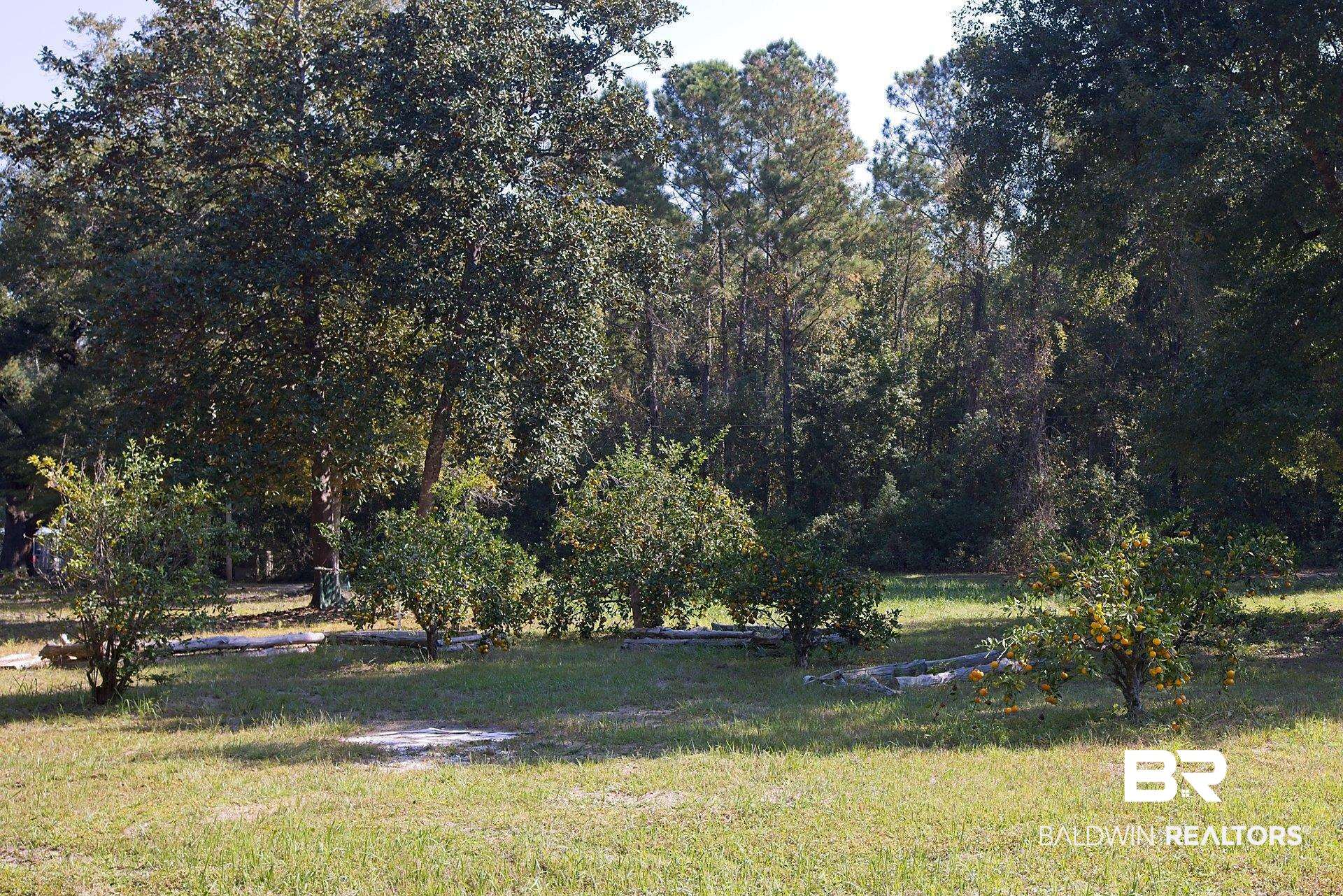 391748 | Photo 16