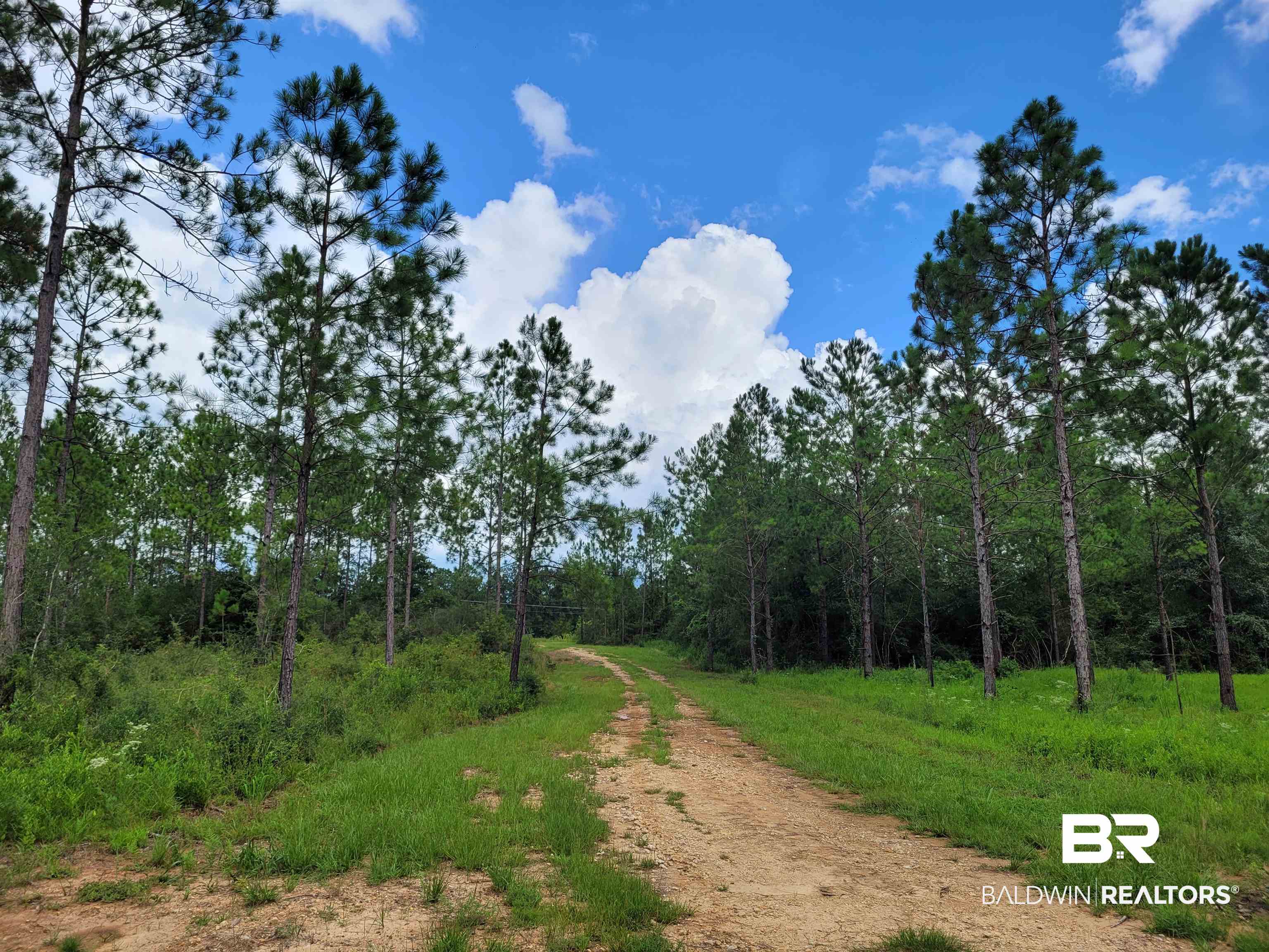 Bay Minette AL Real Estate