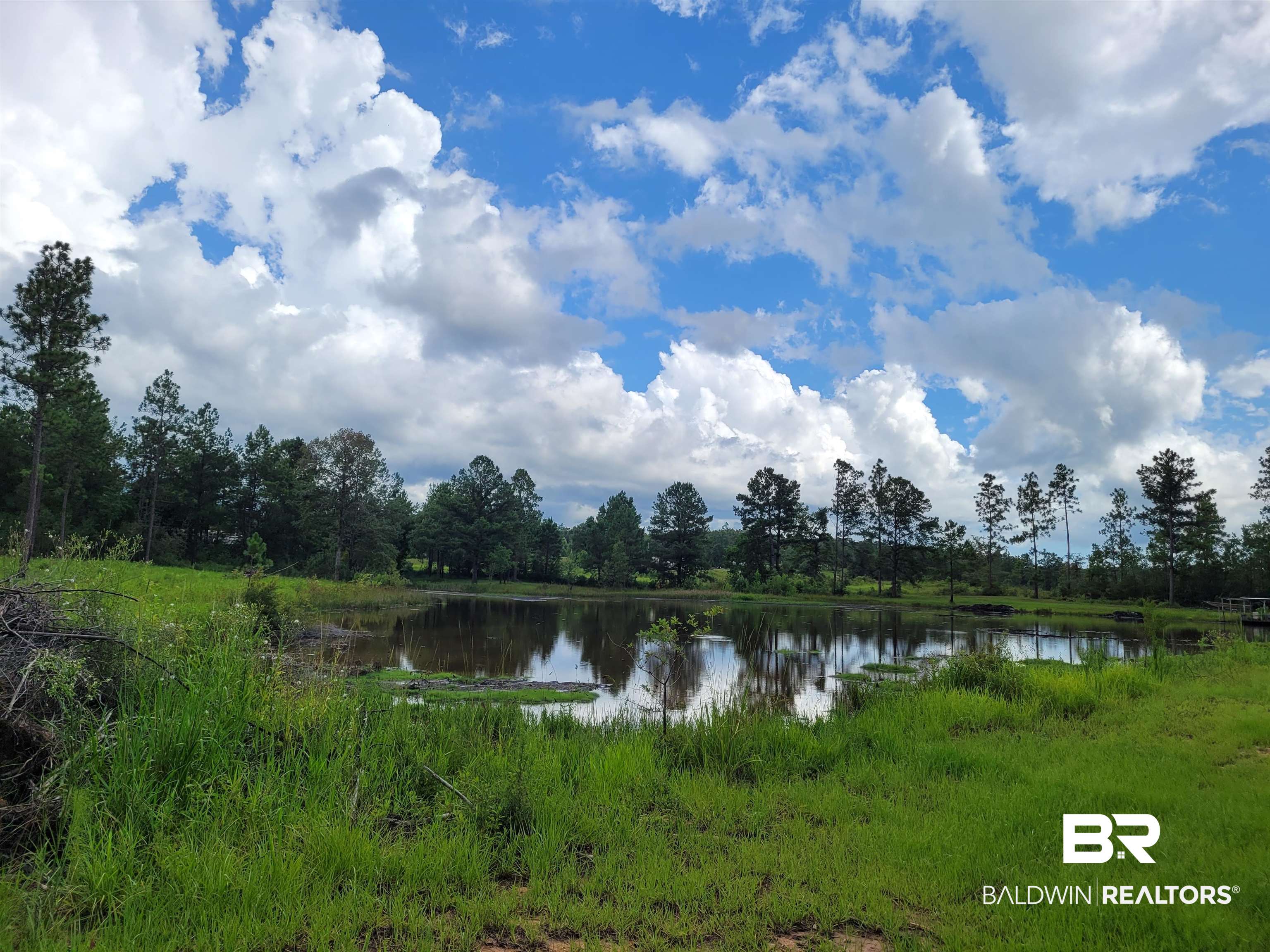 365296 | Photo 6