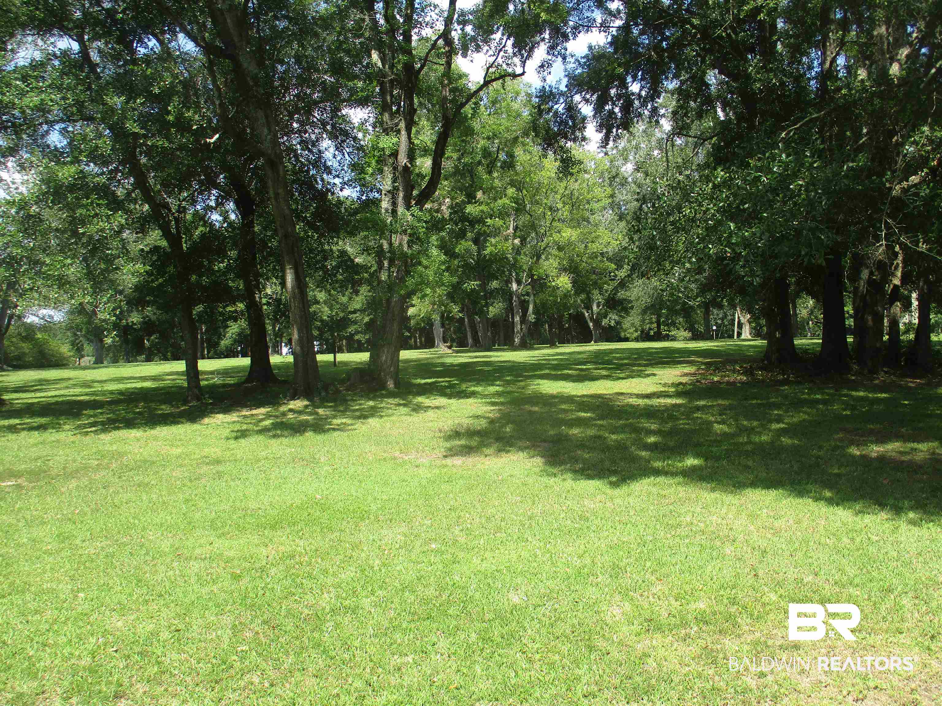 385008 | Photo 2