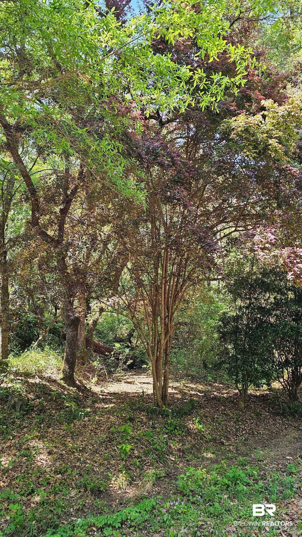 377469 | Photo 20
