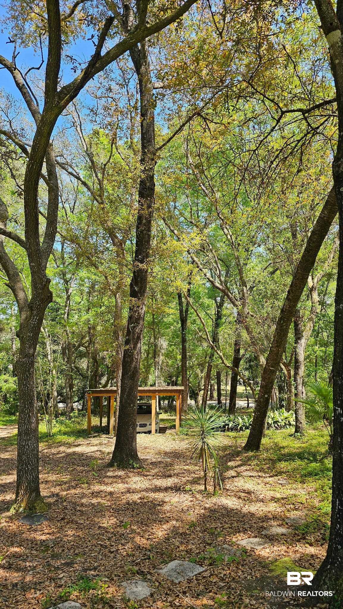 377469 | Photo 21