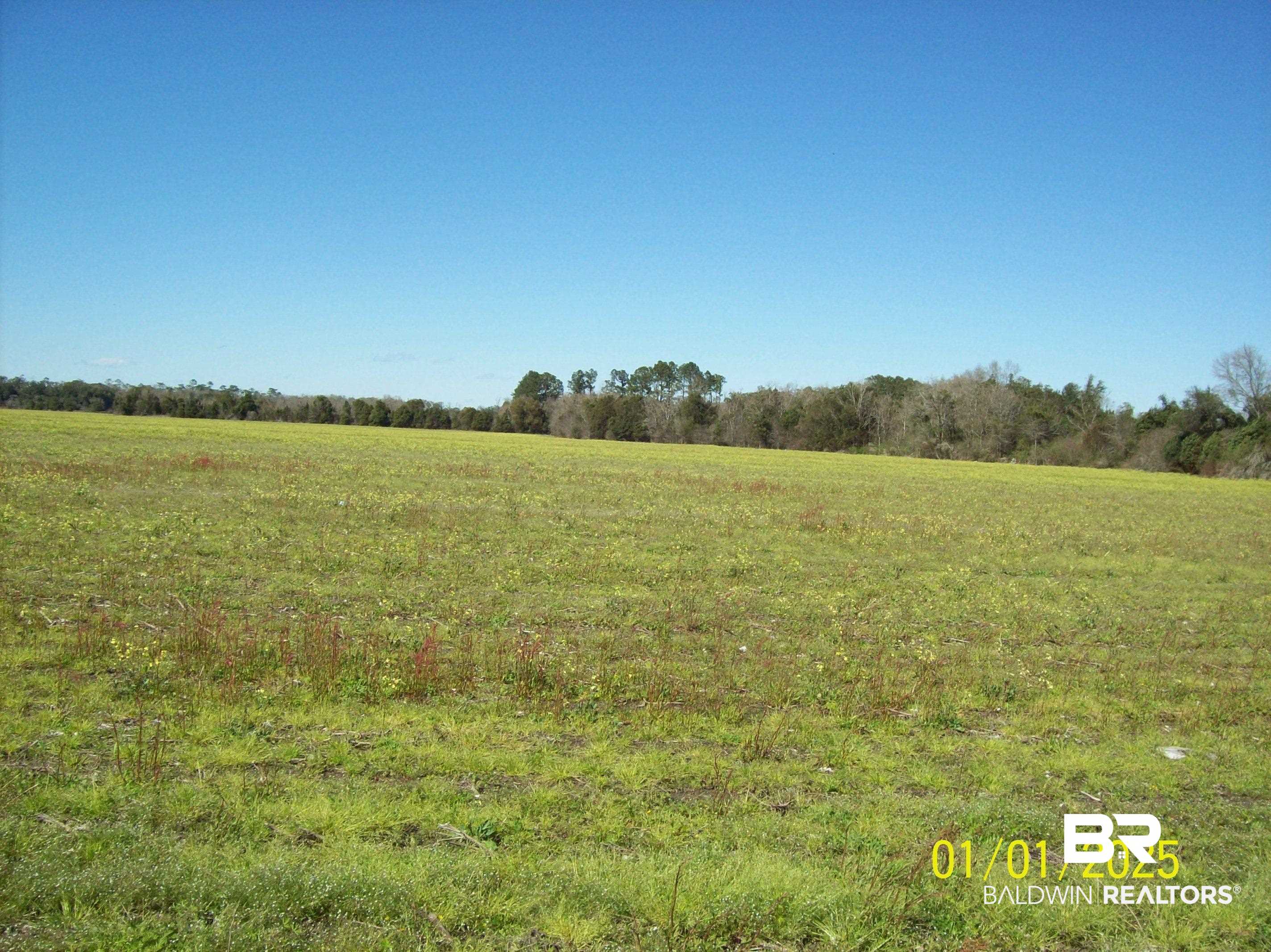 375154 | Photo 2