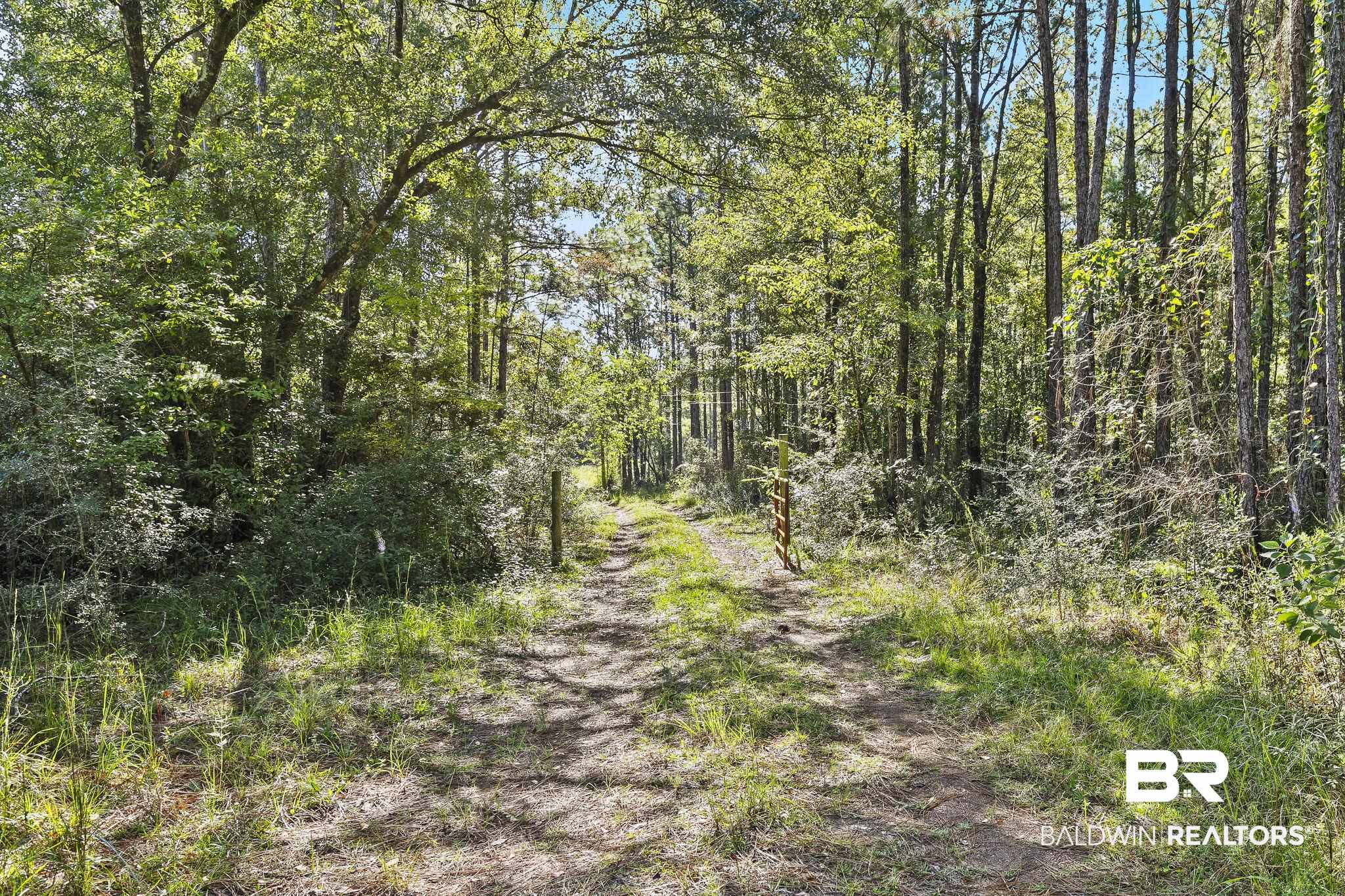 1st image of 0 Nokomis Rd, Walnut Hill, FL 32568 | MLS# 368882
