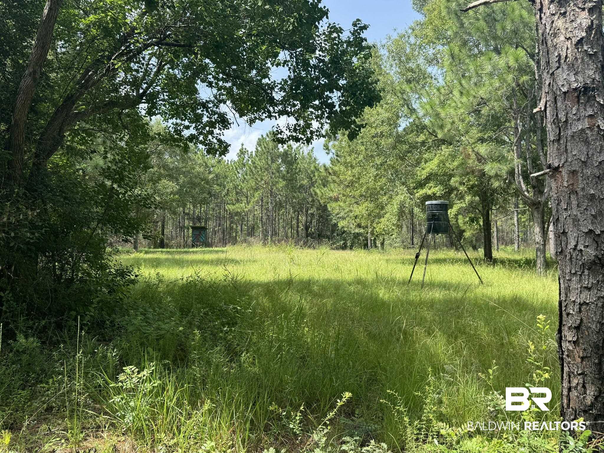 4th image of 0 Nokomis Rd, Walnut Hill, FL 32568 | MLS# 368882