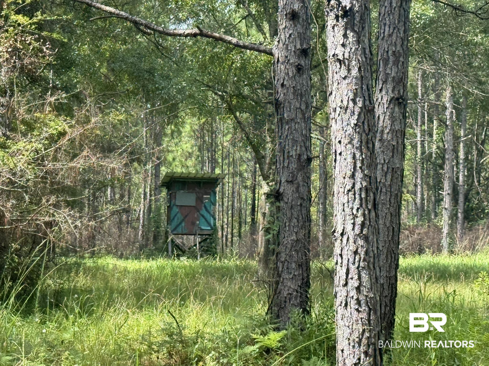 3rd image of 0 Nokomis Rd, Walnut Hill, FL 32568 | MLS# 368882