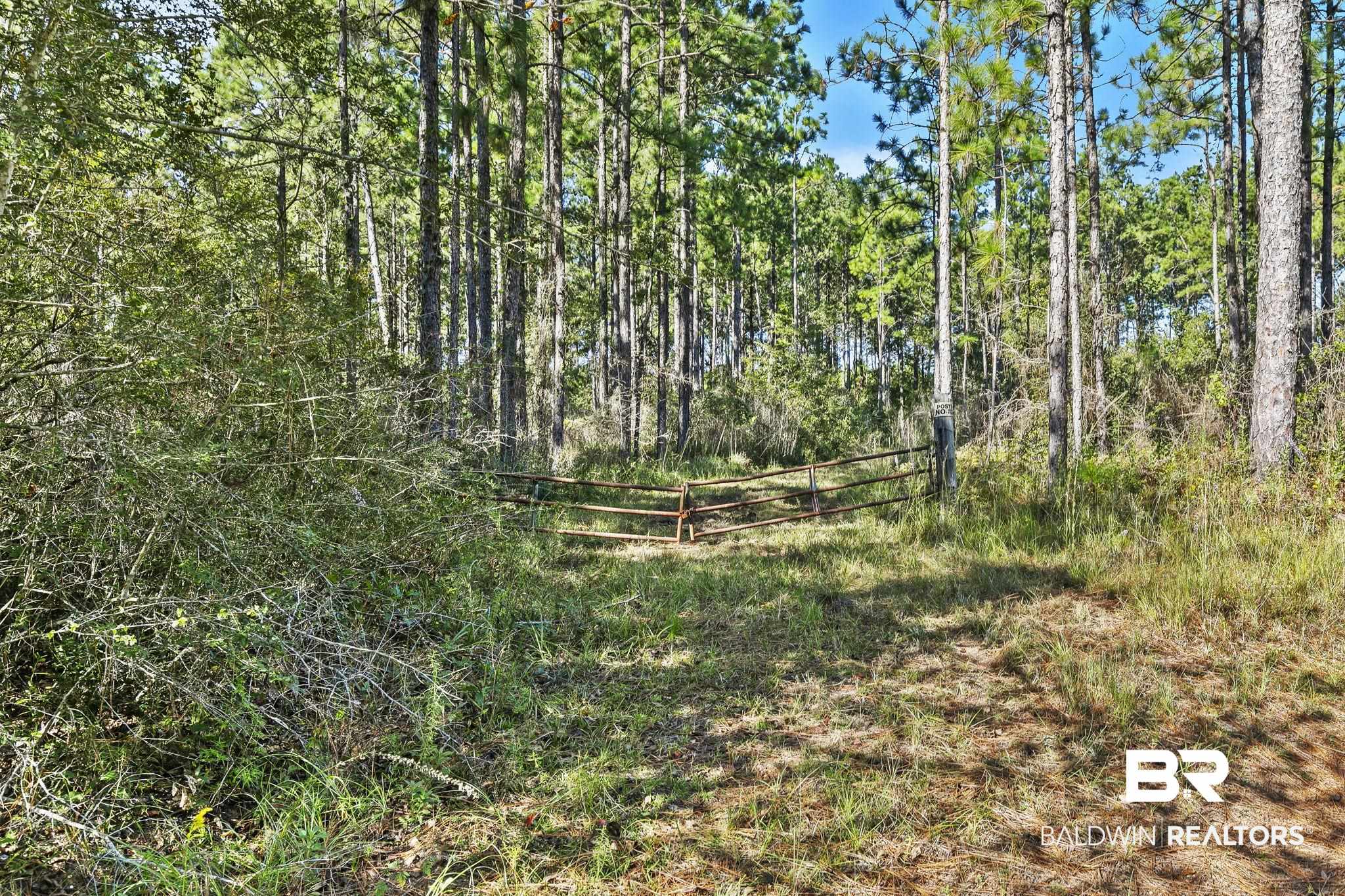 2nd image of 0 Nokomis Rd, Walnut Hill, FL 32568 | MLS# 368882