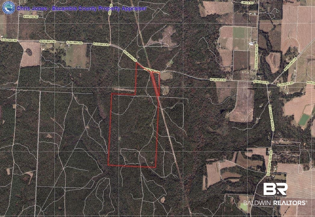 5th image of 0 Nokomis Rd, Walnut Hill, FL 32568 | MLS# 368882
