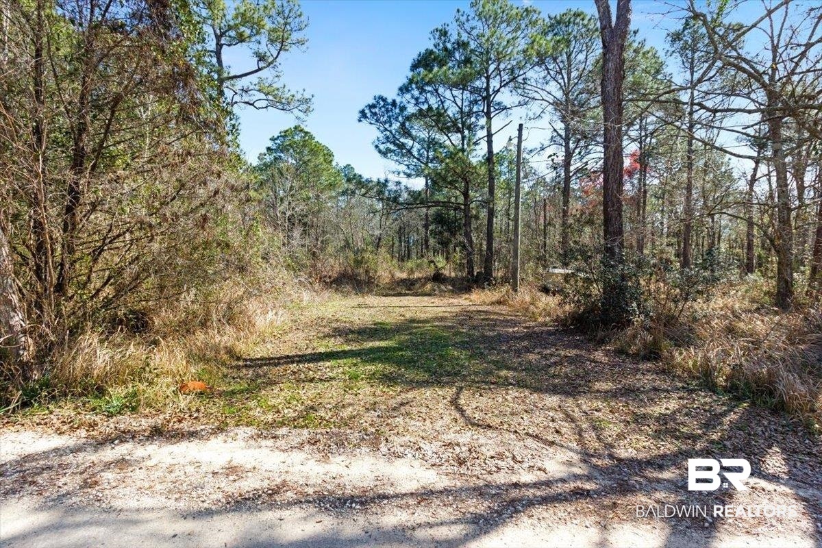 374772 | Photo 2