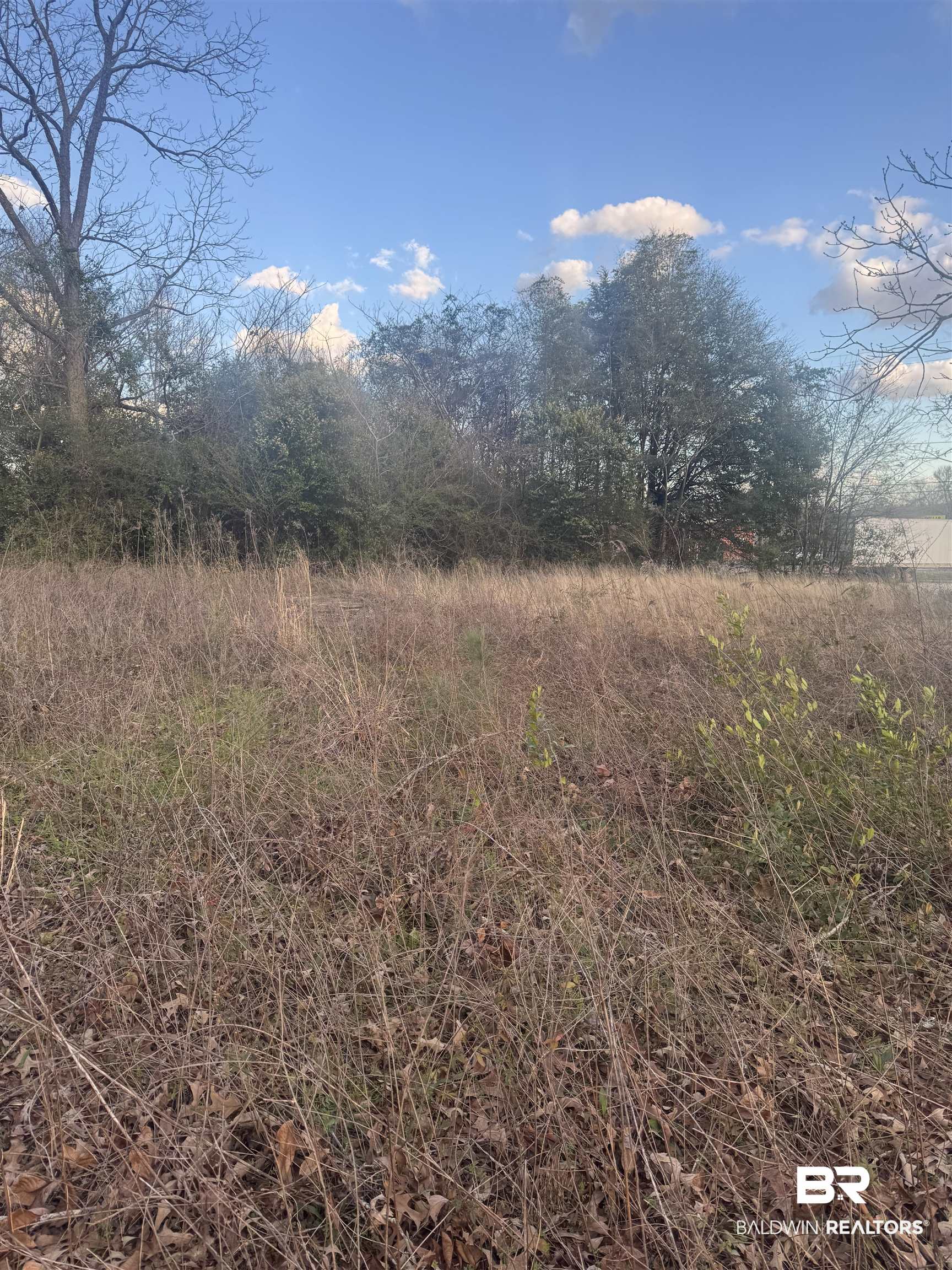375192 | Photo 7