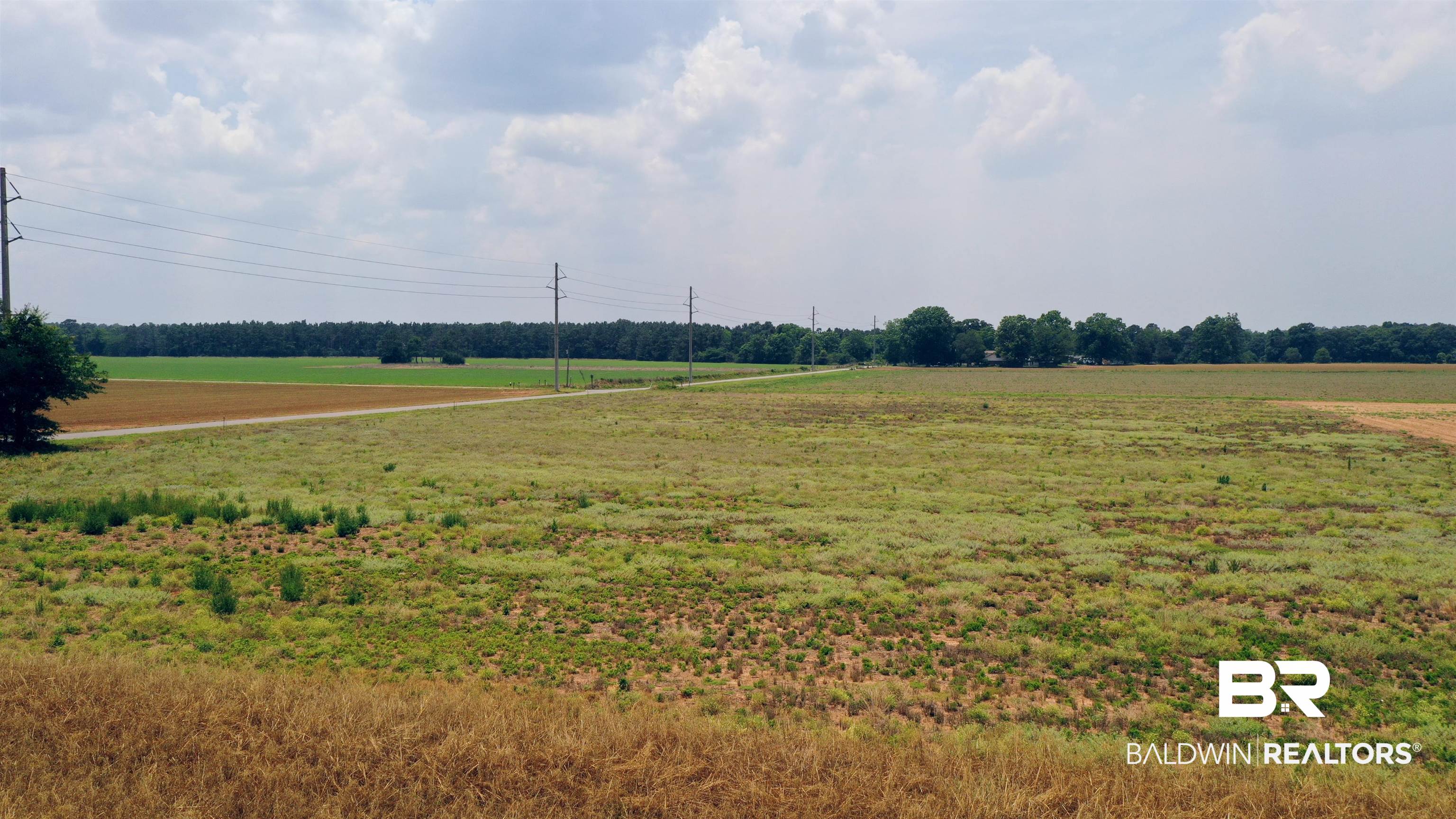 381019 | Photo 16