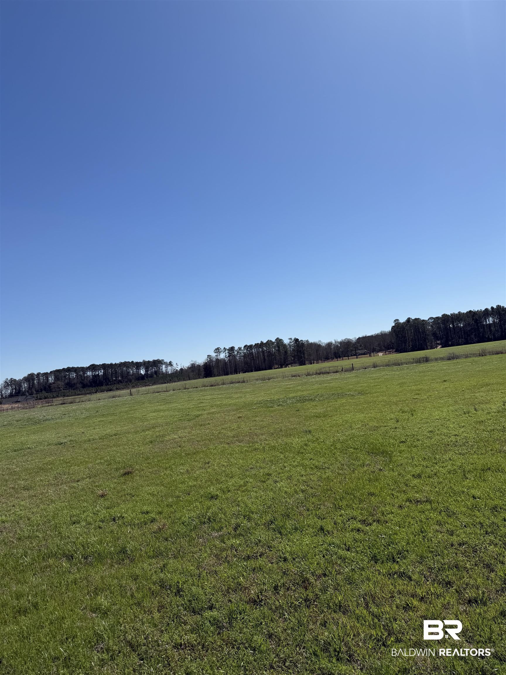 392947 | Photo 3