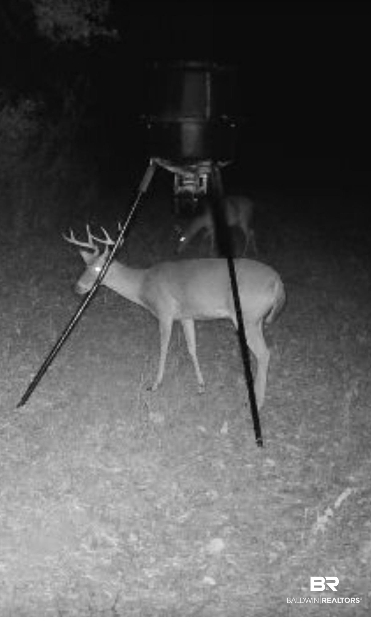 392947 | Photo 10