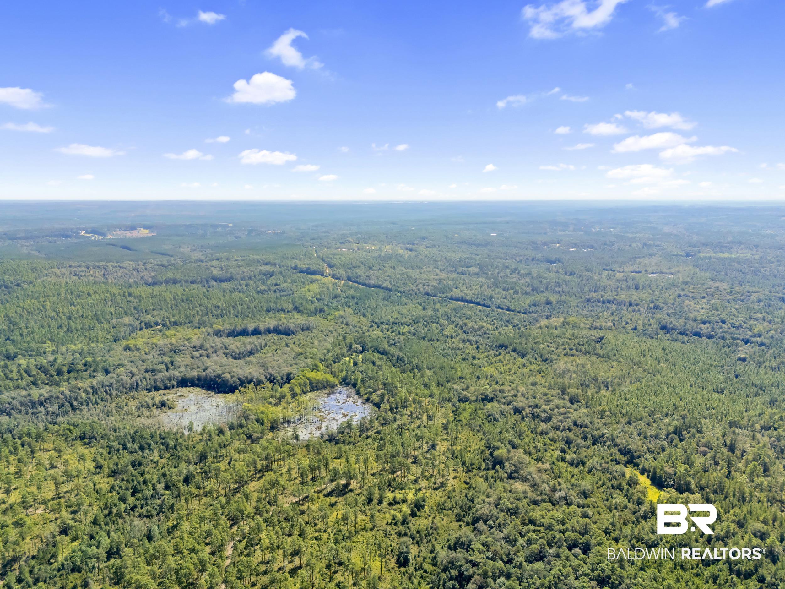 386281 | Photo 18
