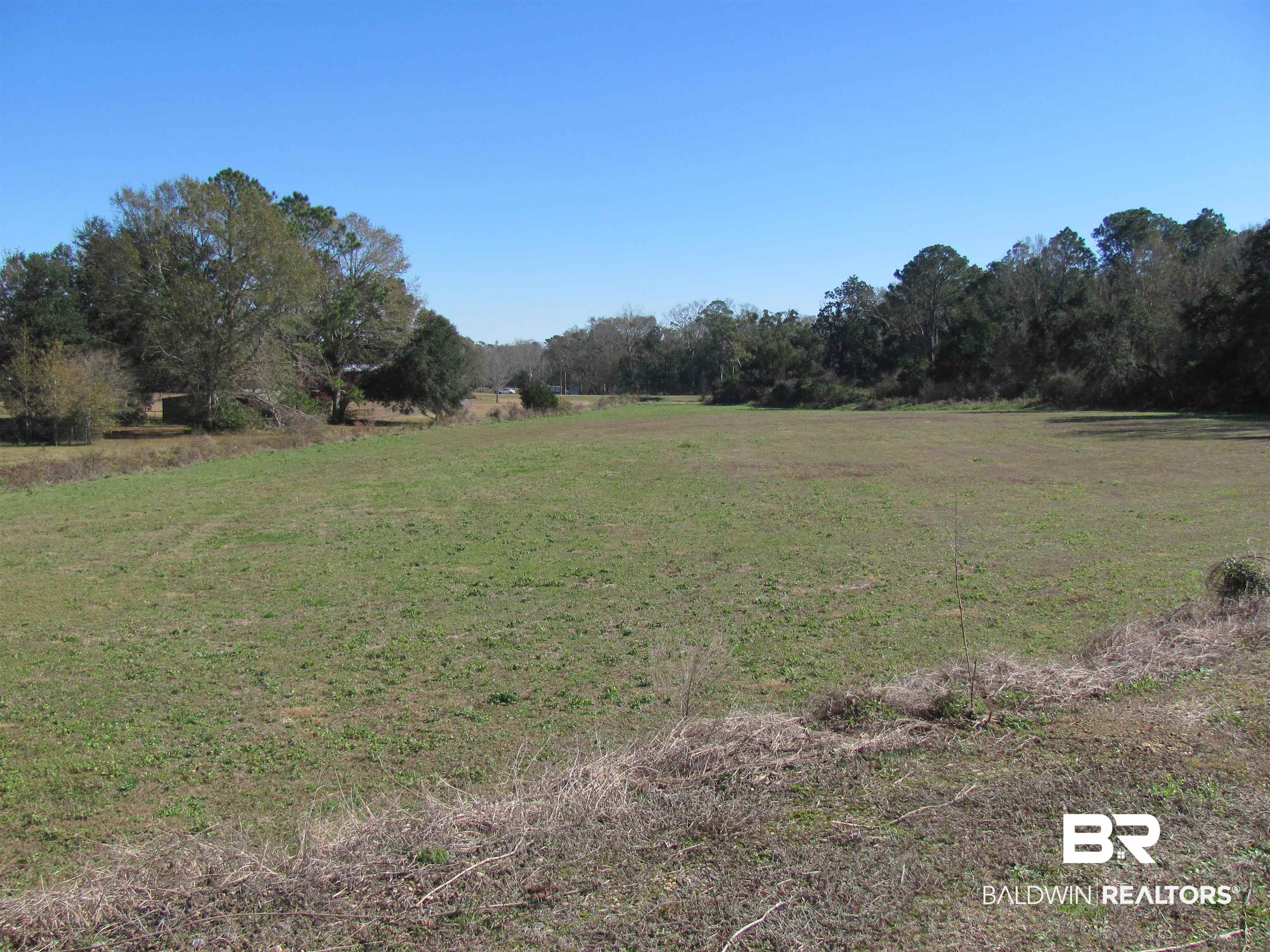 377172 | Photo 4