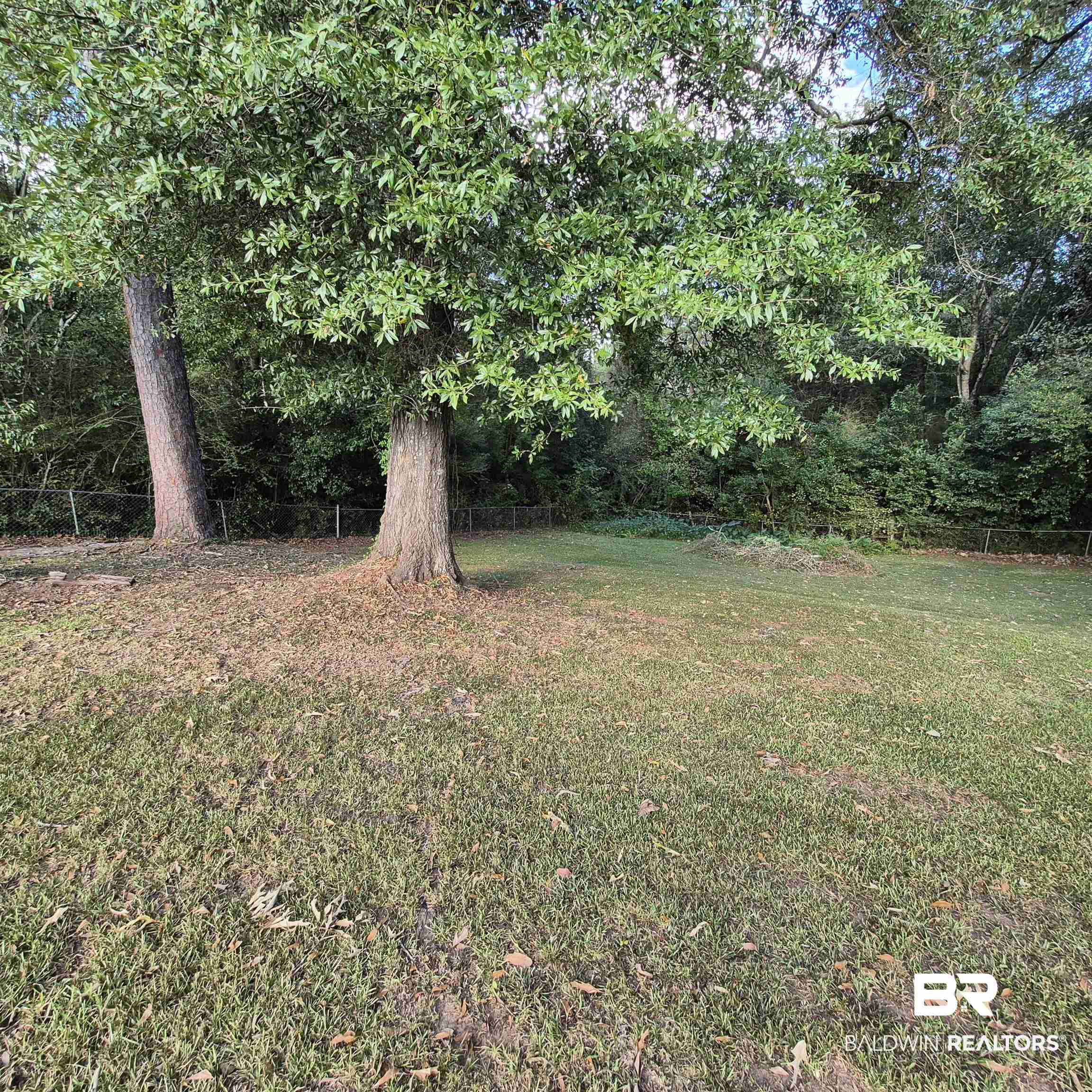 390446 | Photo 24