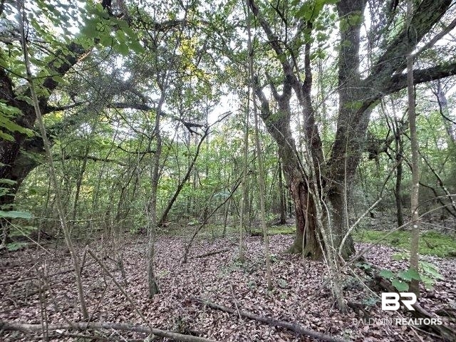 362443 | Photo 28