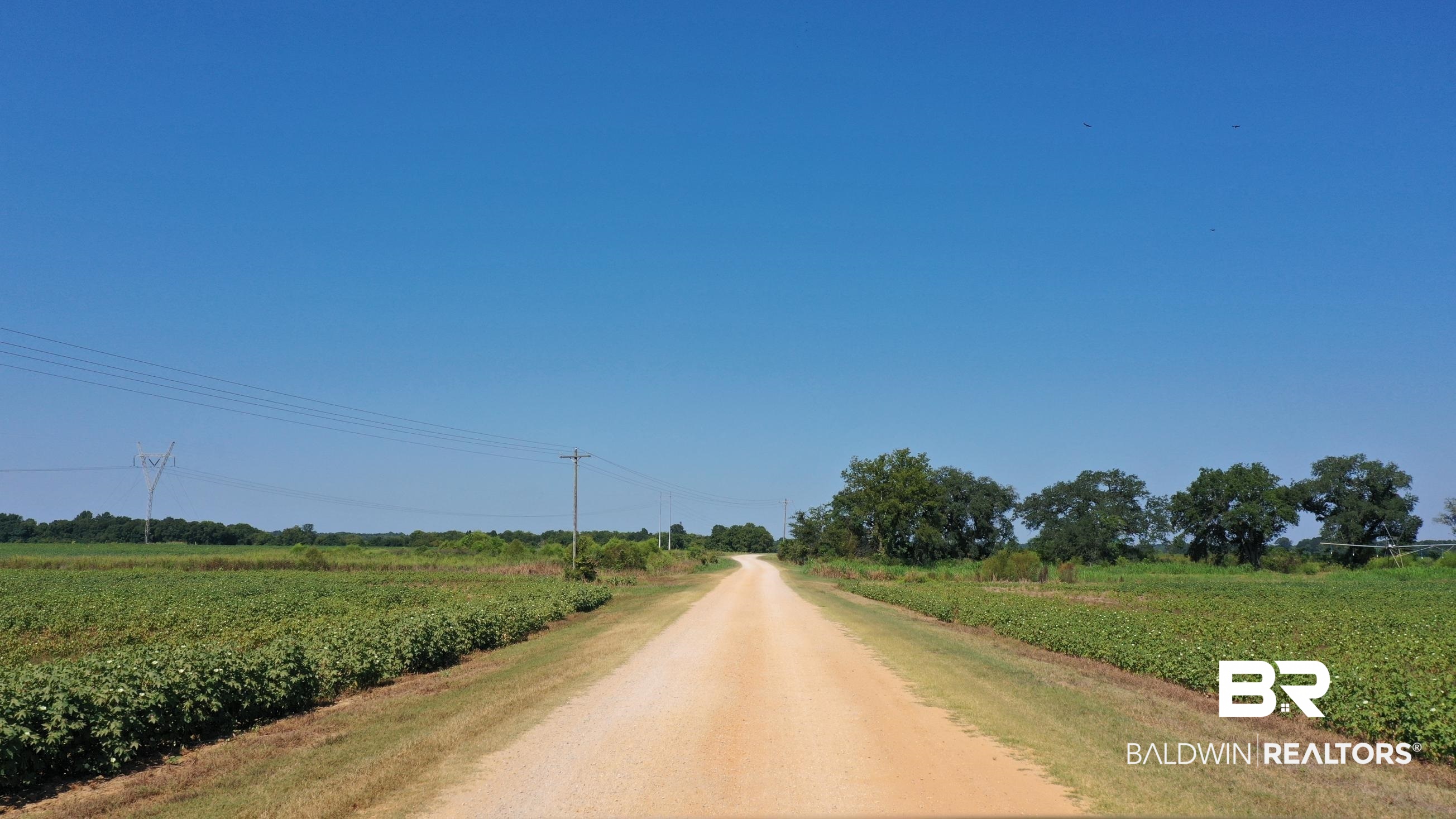 383817 | Photo 25