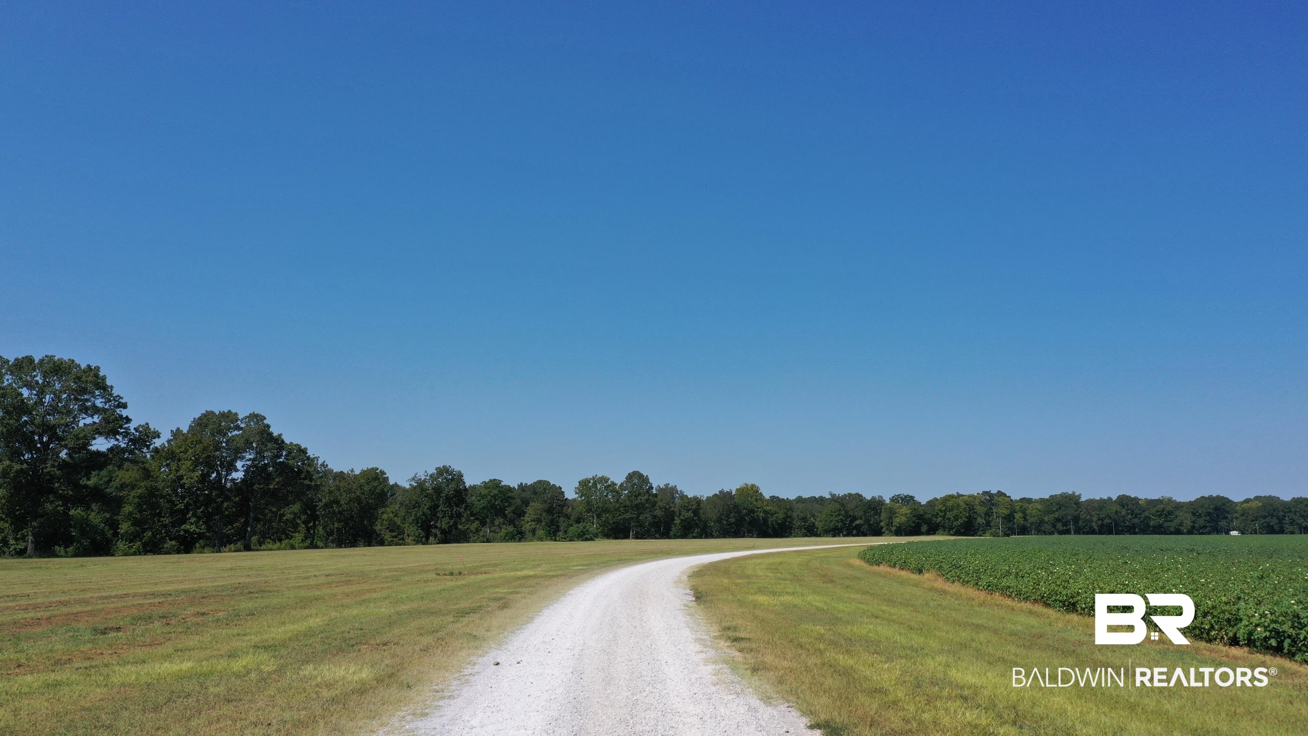 383817 | Photo 27