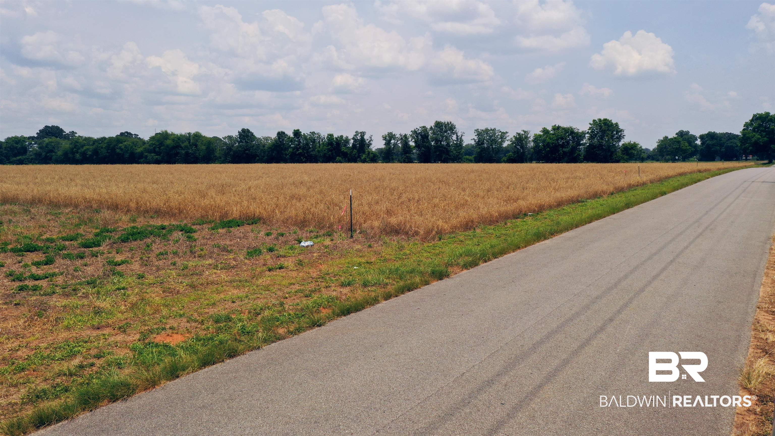 381039 | Photo 12