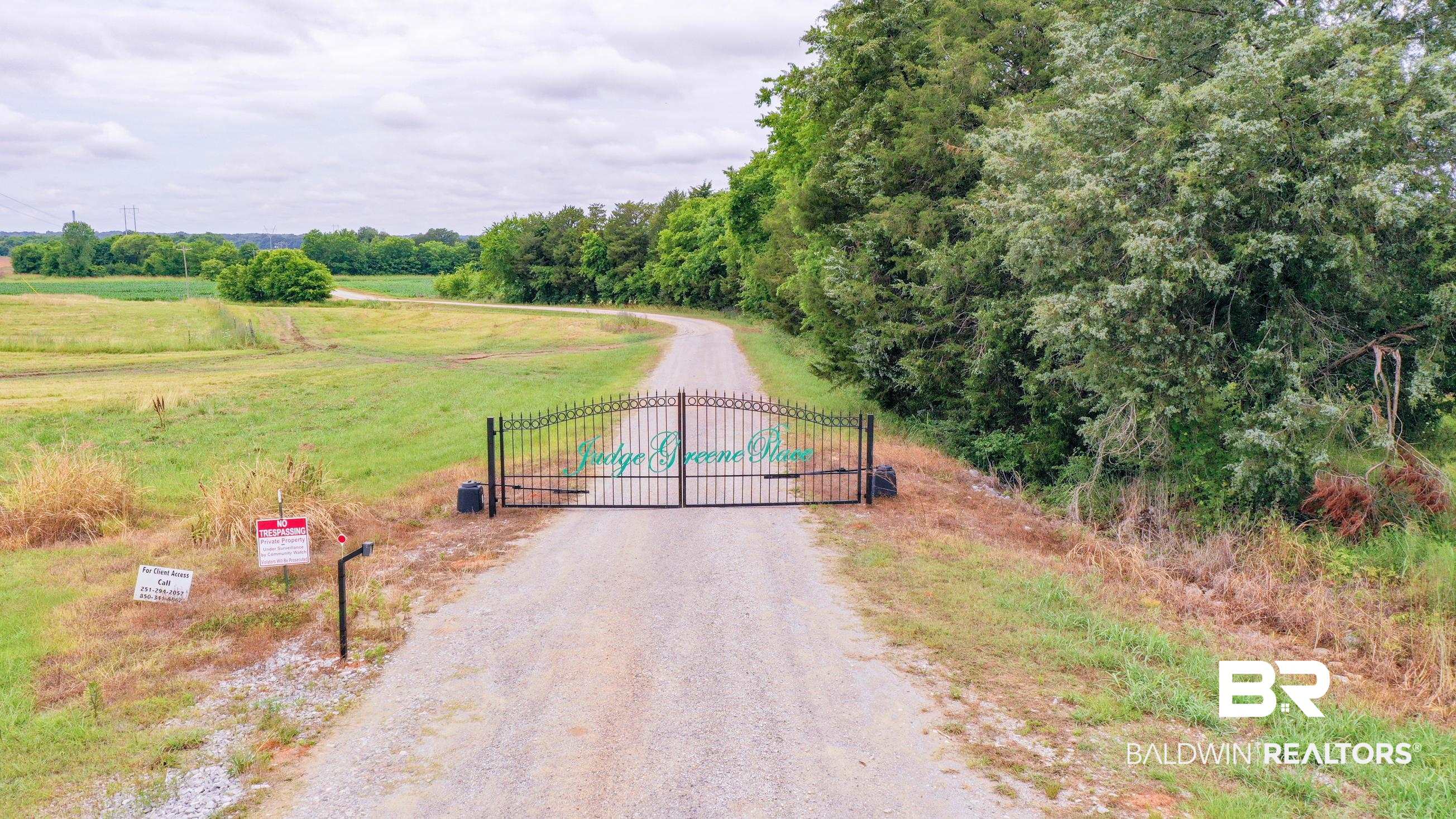 383789 | Photo 24