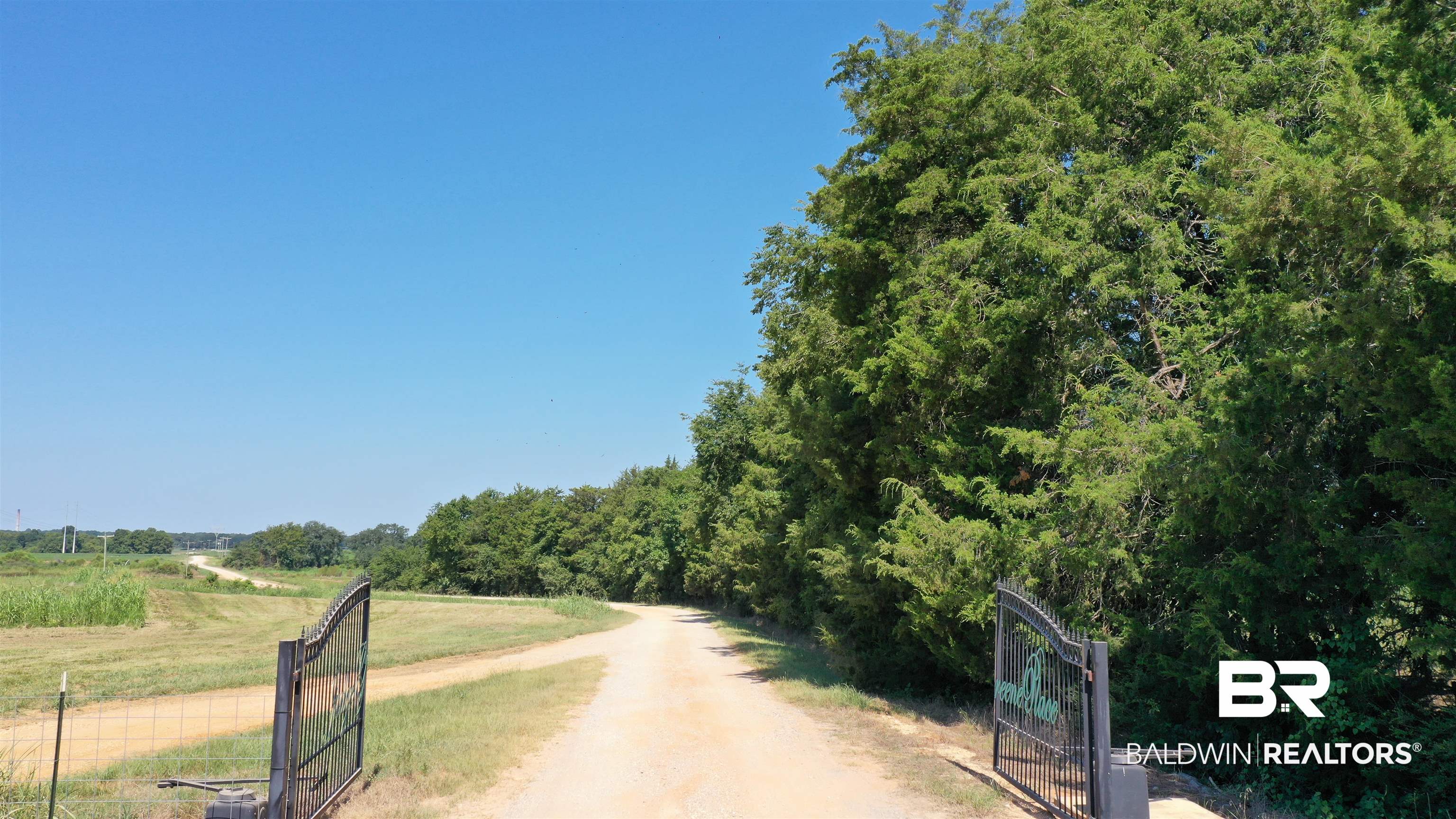 383789 | Photo 26