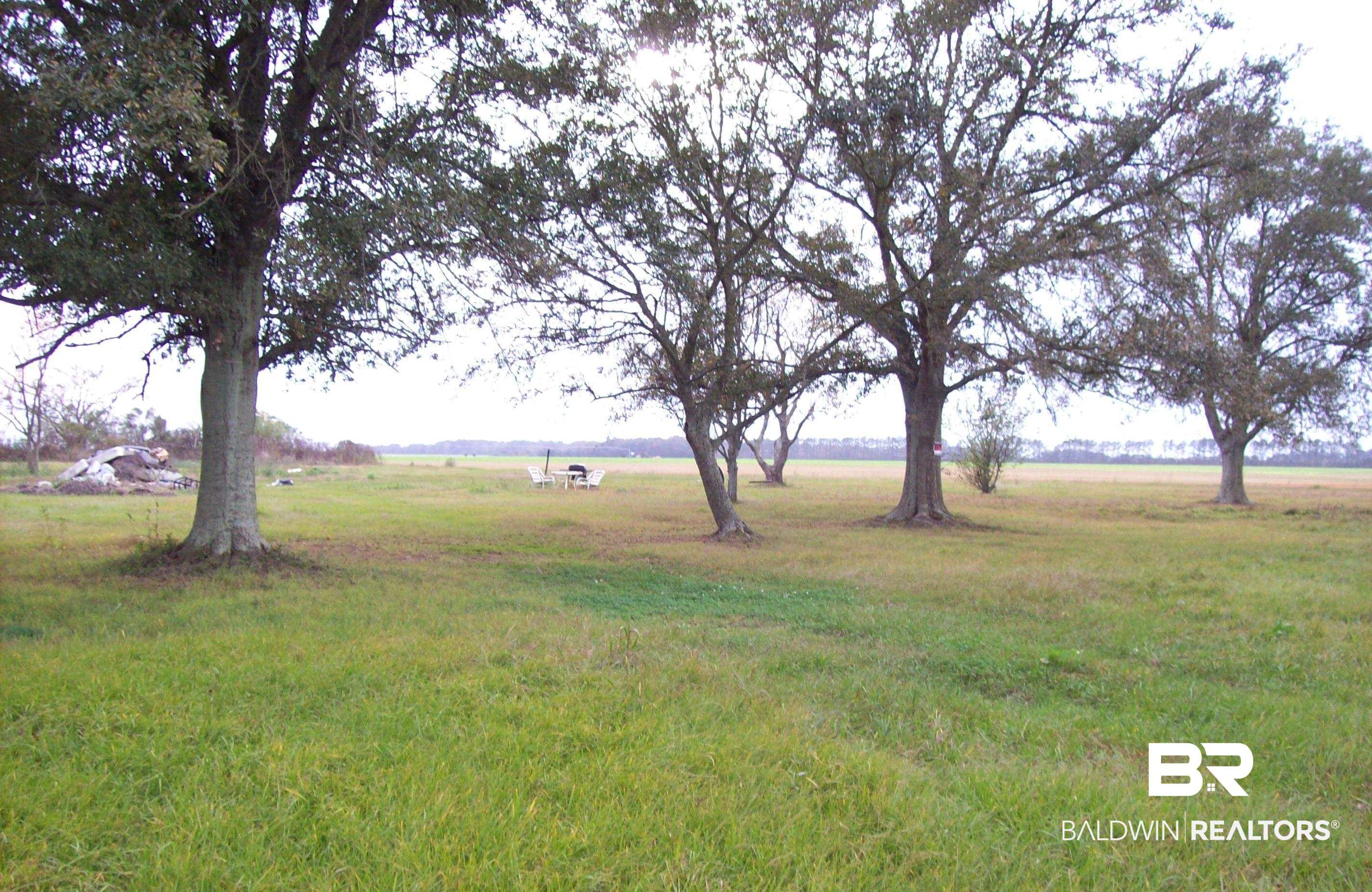 371378 | Photo 2